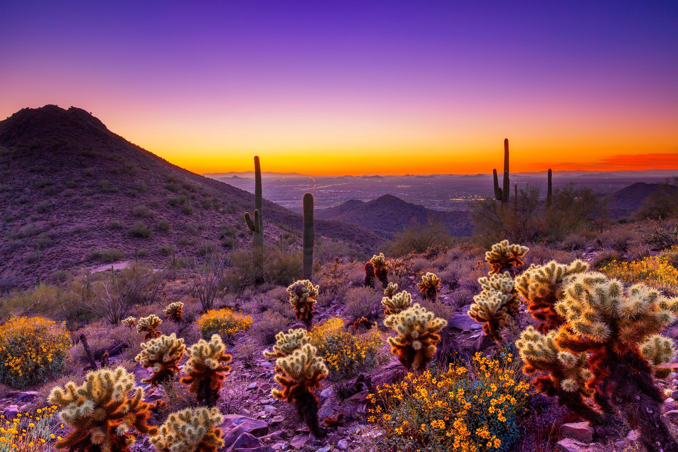 Arizona Spring Wallpapers