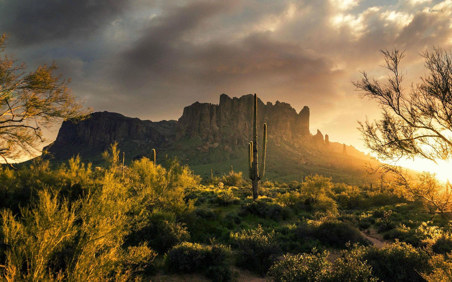 Arizona Spring Wallpapers