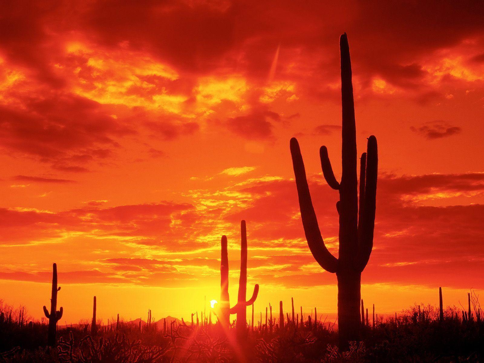 Arizona Sunset Wallpapers