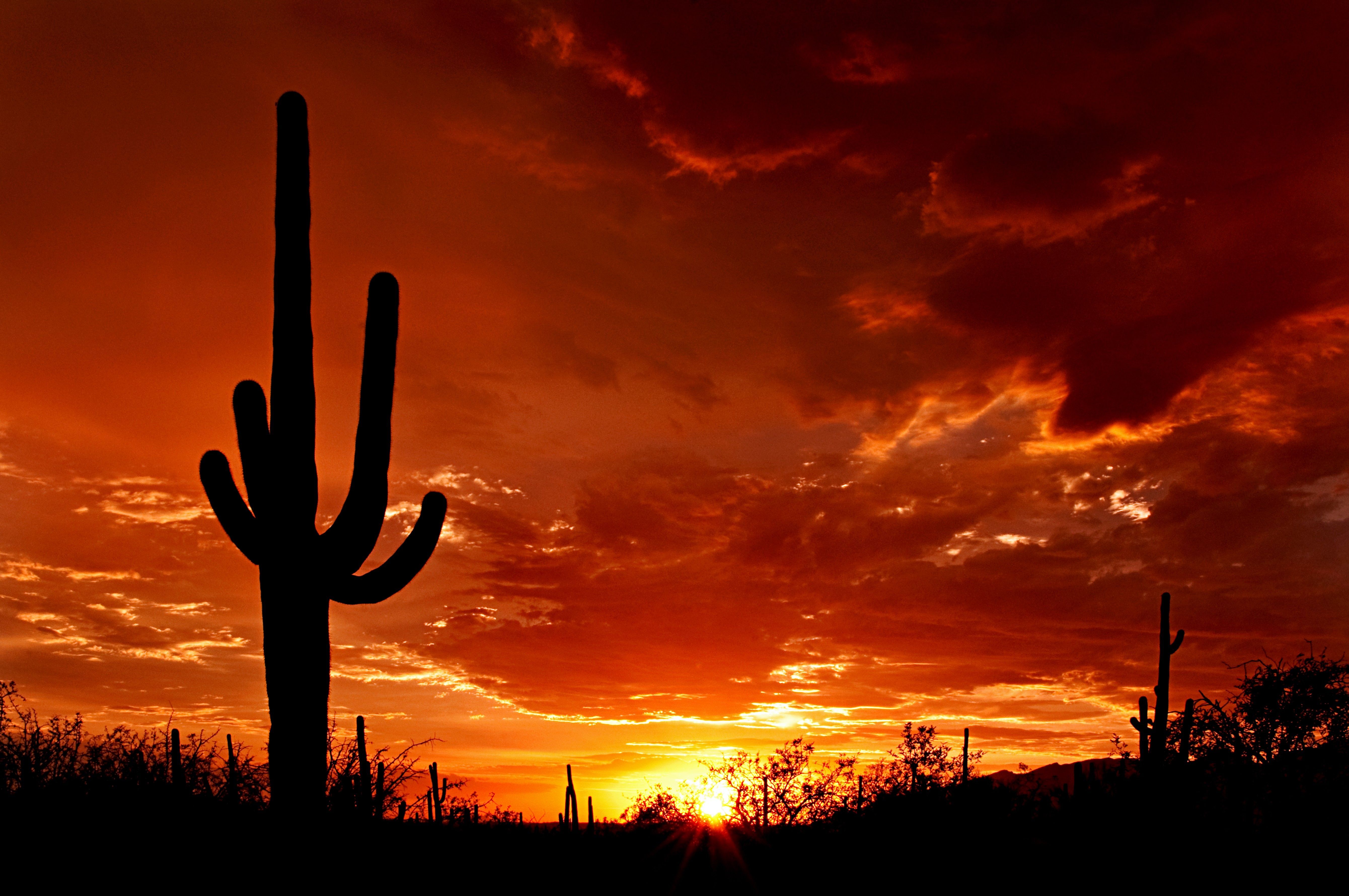 Arizona Sunset Wallpapers