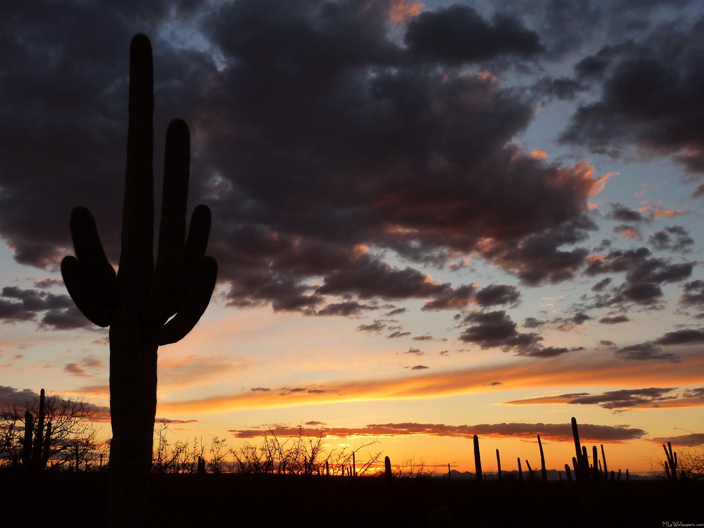 Arizona Sunset Wallpapers