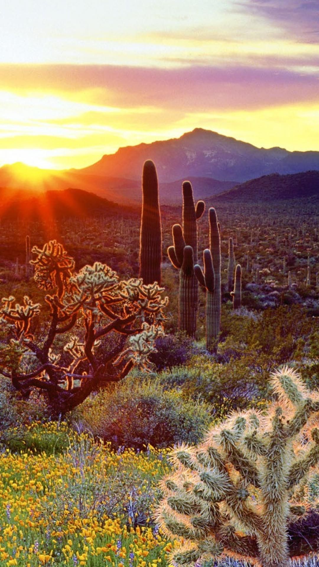 Arizona Sunset Wallpapers