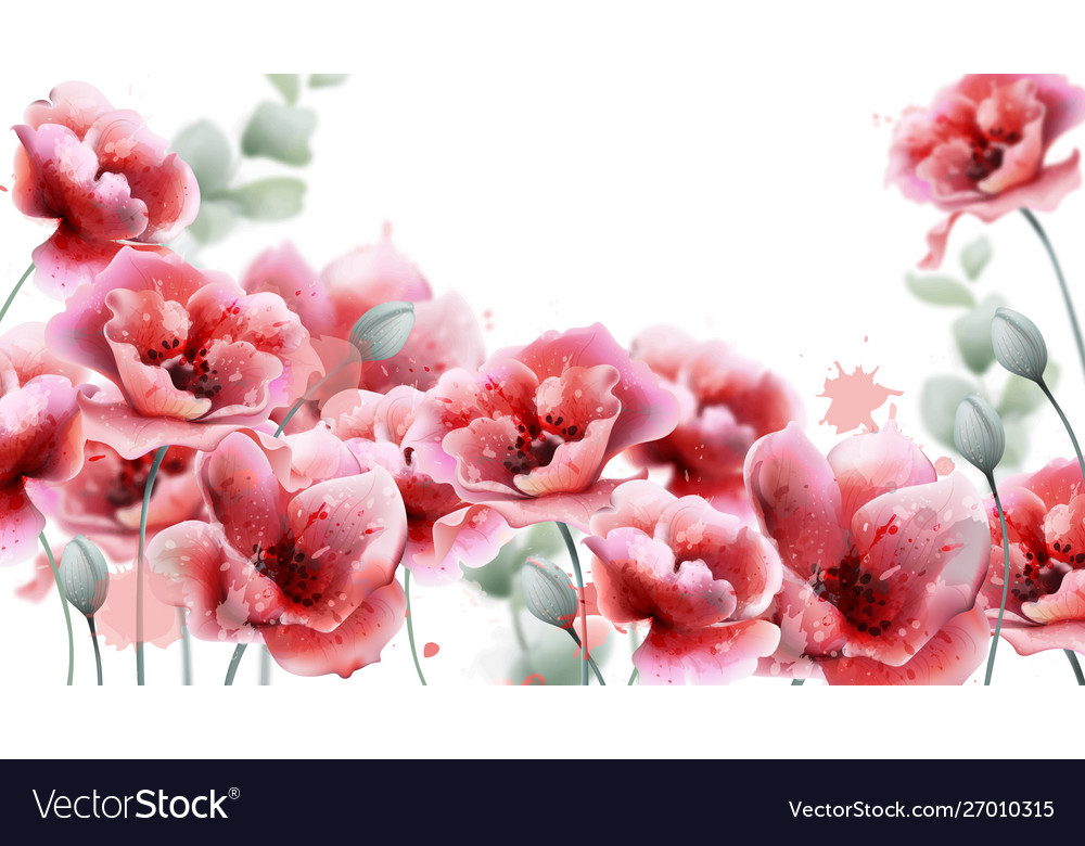 Summer Flower Backgrounds