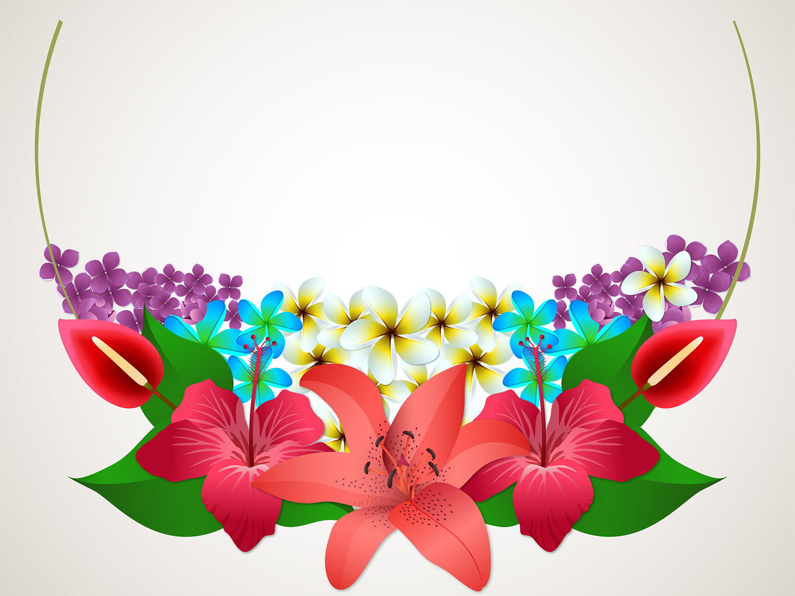 Summer Flower Backgrounds