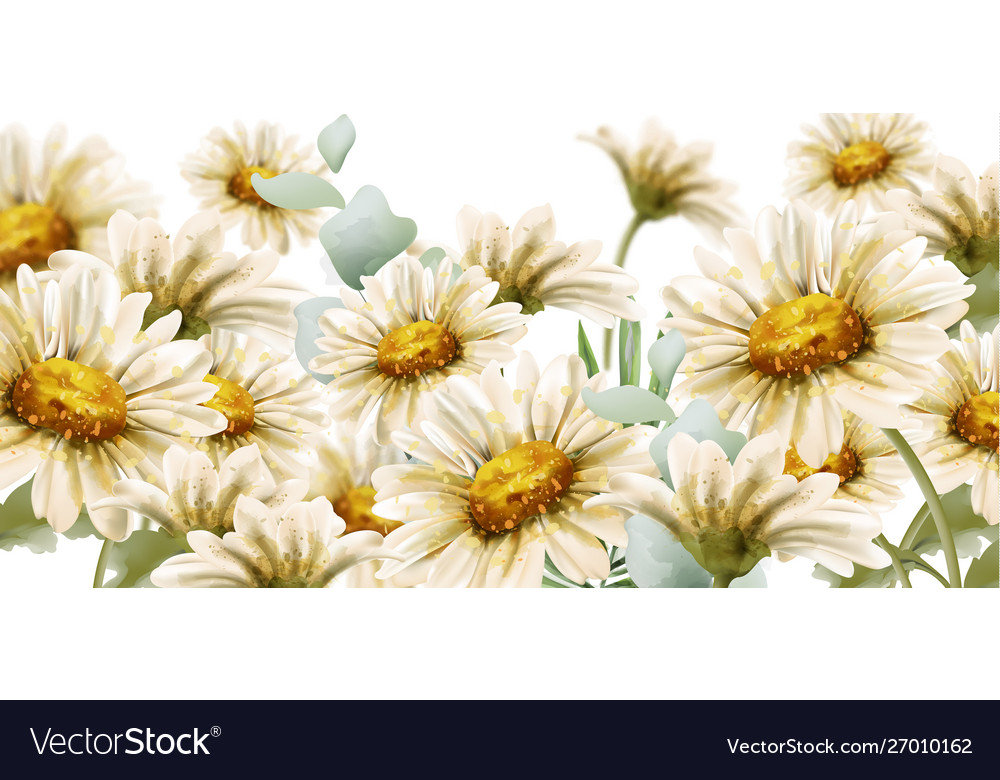 Summer Flower Backgrounds