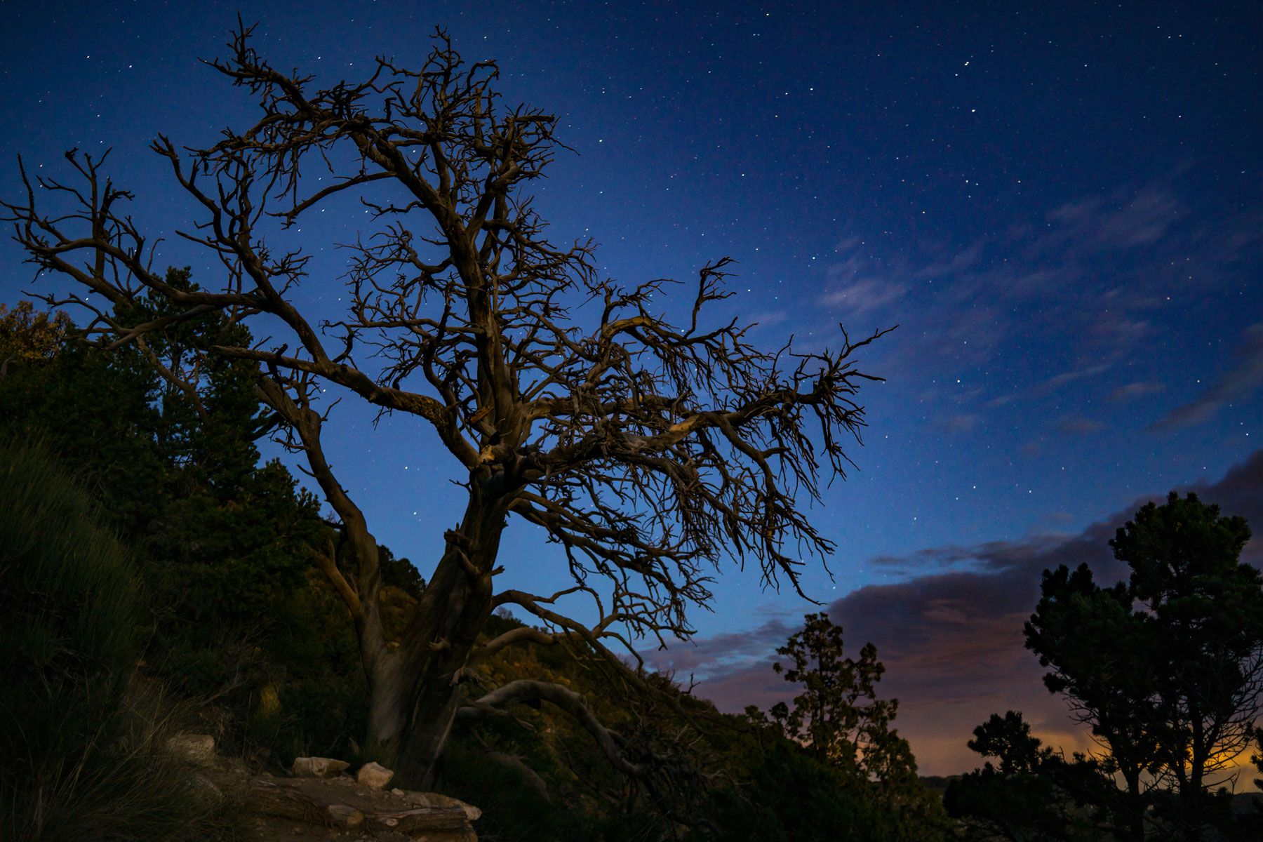 Mexico Starry Night Sky Wallpapers