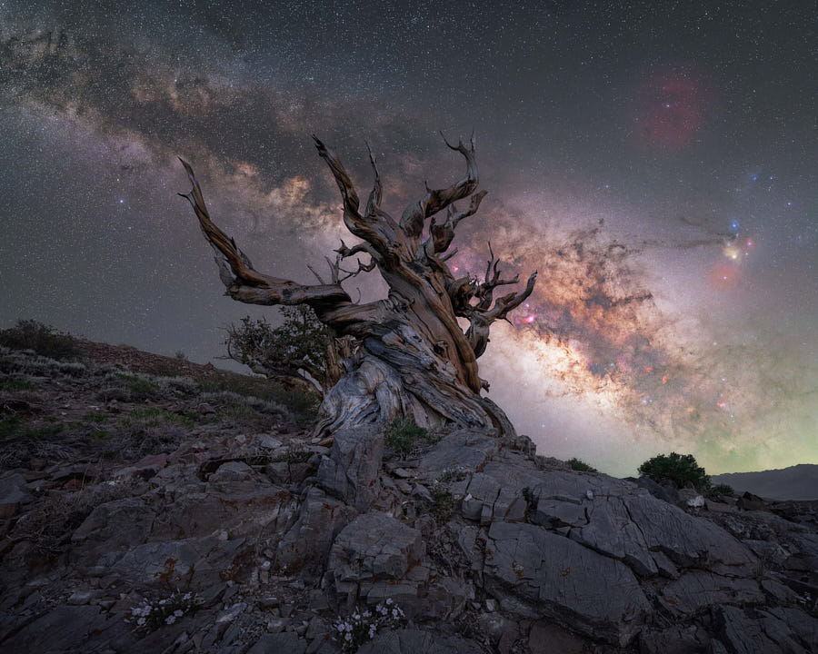 Milky Way Over Otter Cliffs Wallpapers