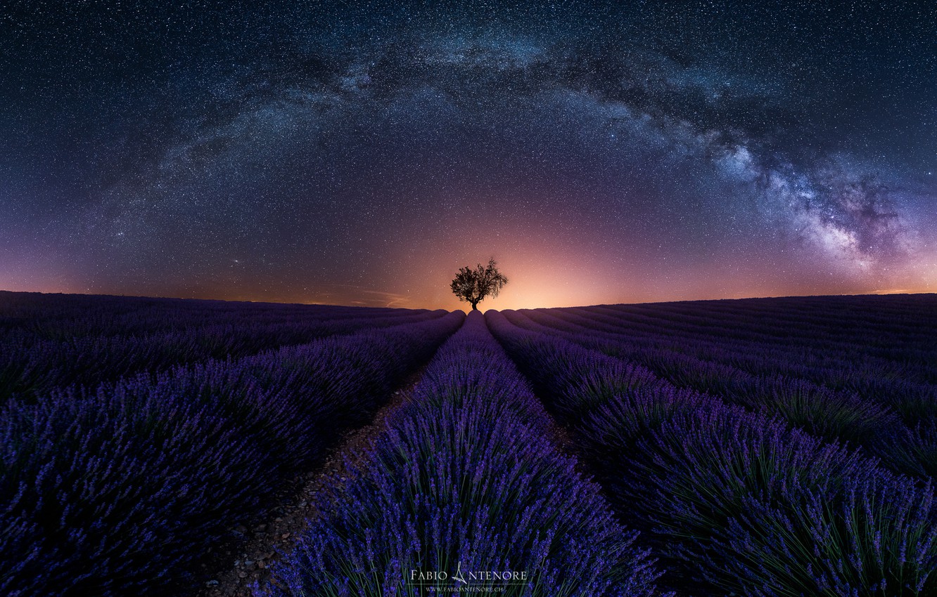 Milky Way Tree Field Wallpapers