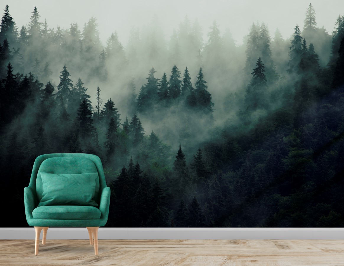 Misty Forest Photography 2021 Wallpapers