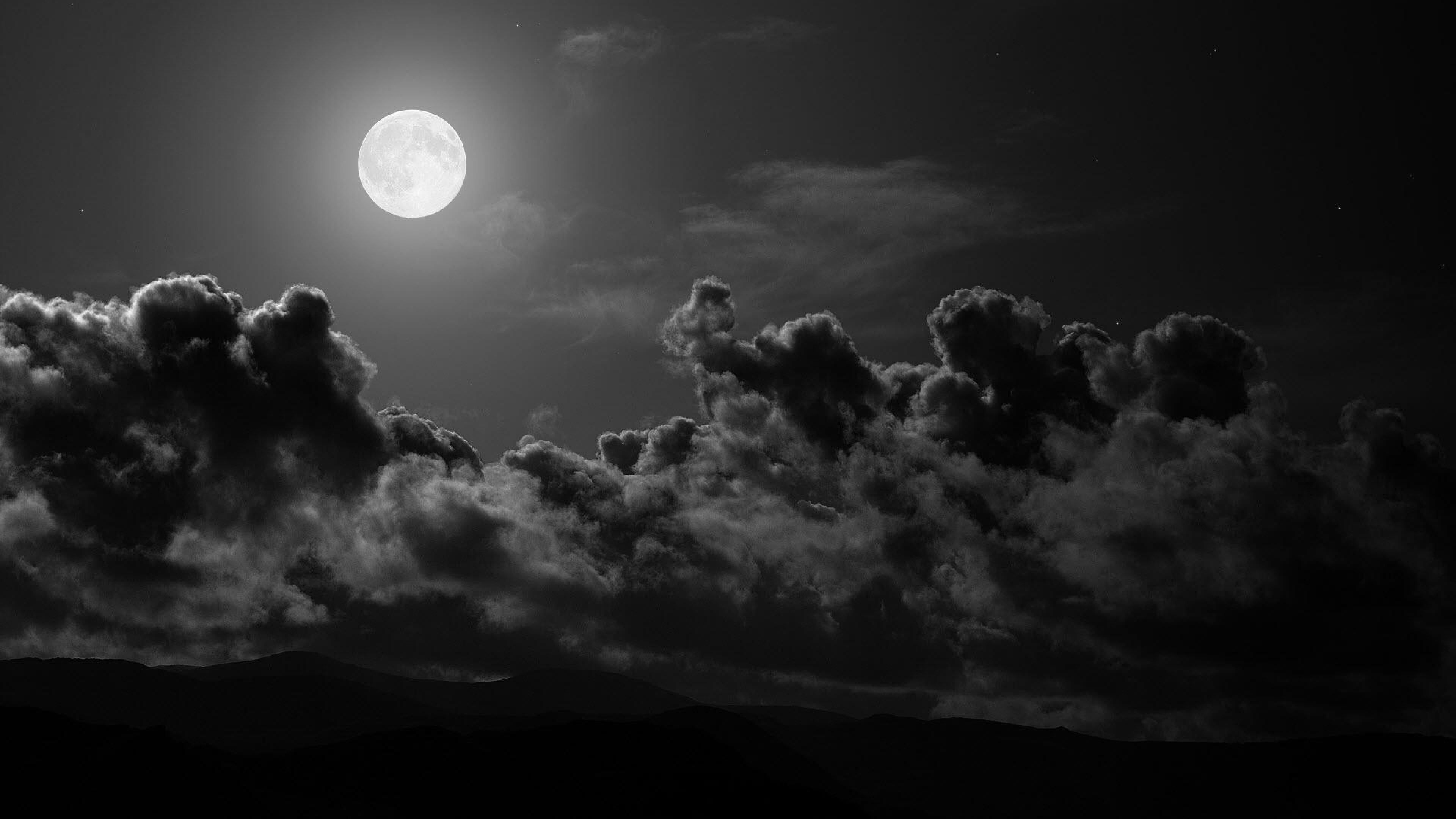 Monochrome Night Nature Photography Wallpapers