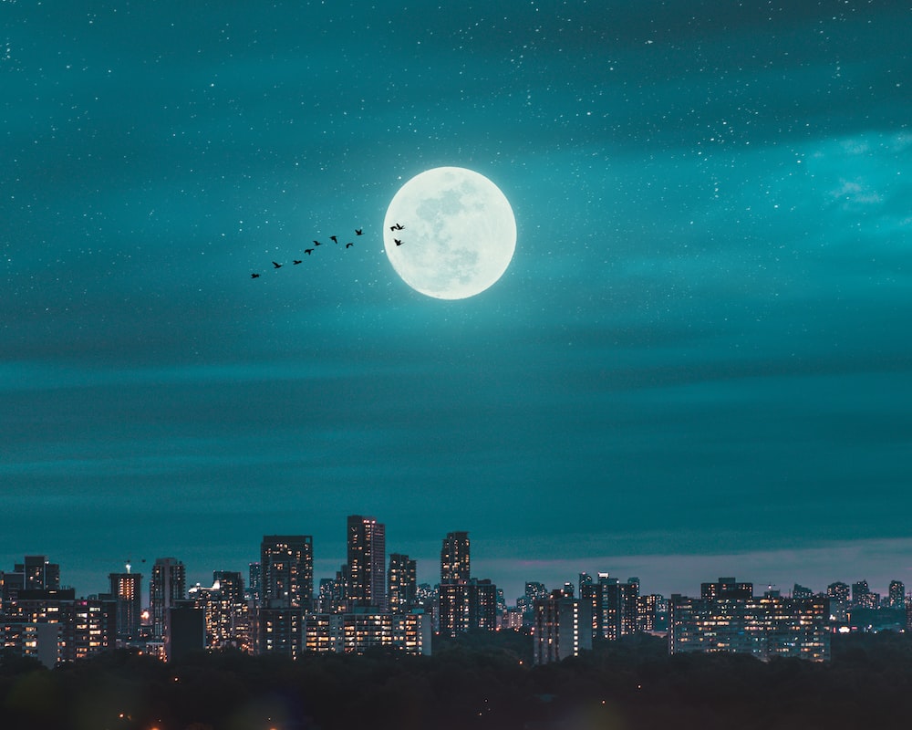 Moon City Wallpapers