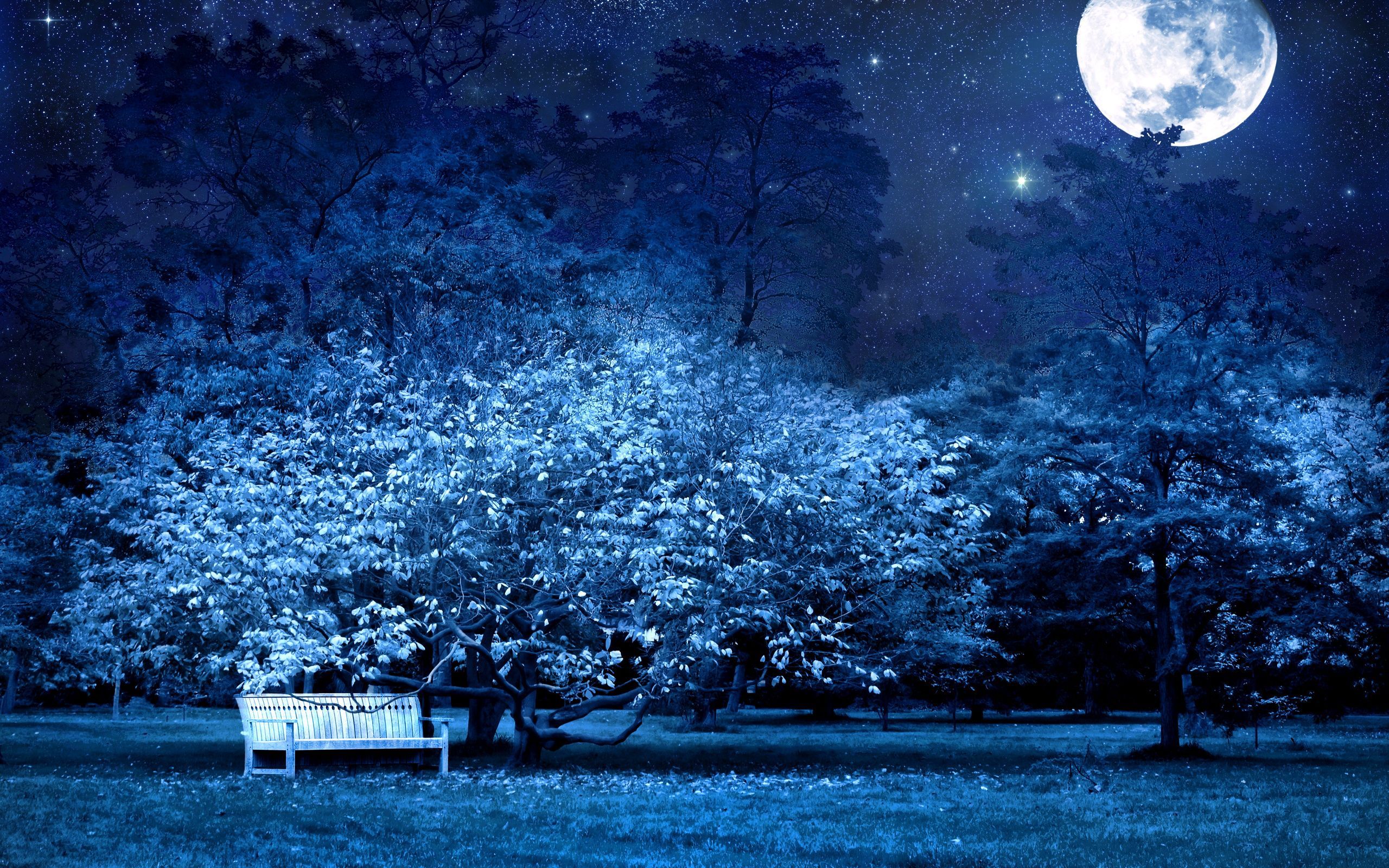 Moon Night Hd Landscape Wallpapers