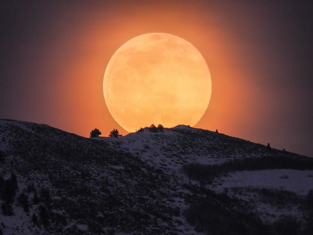 Moon Rising Wallpapers