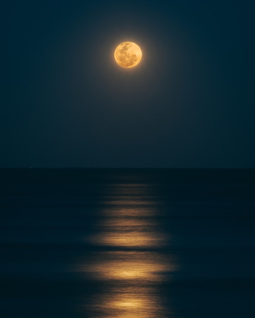 Moonlight Landscape Wallpapers