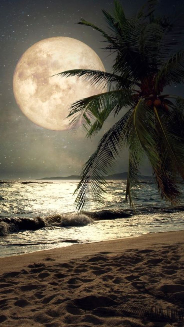 Moonlight Landscape Wallpapers