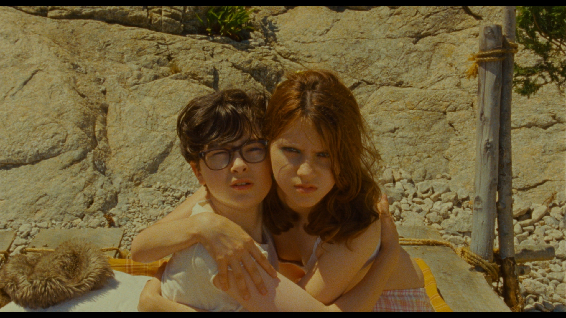 Moonrise Kingdom Wallpapers