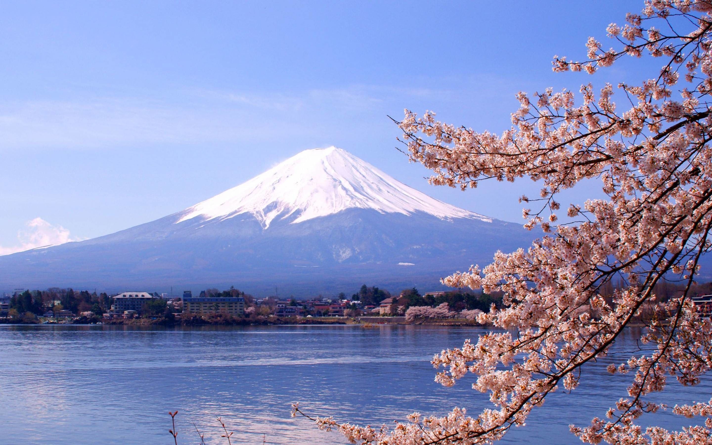 Mount Fuji 4K Wallpapers