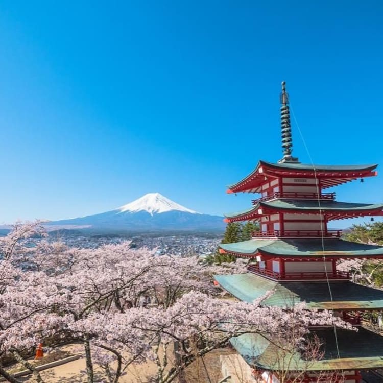 Mount Fuji Beautiful Shot Wallpapers