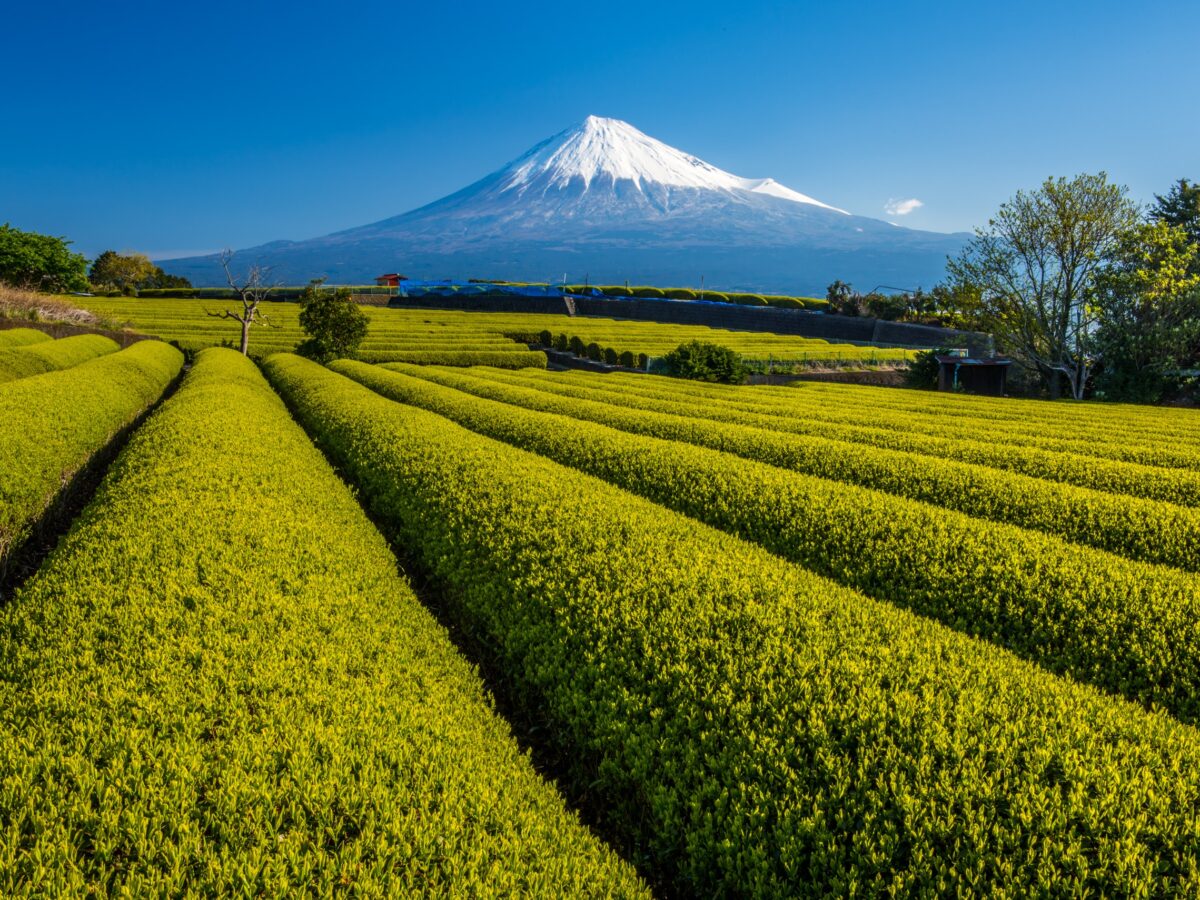 Mount Fuji Beautiful Shot Wallpapers