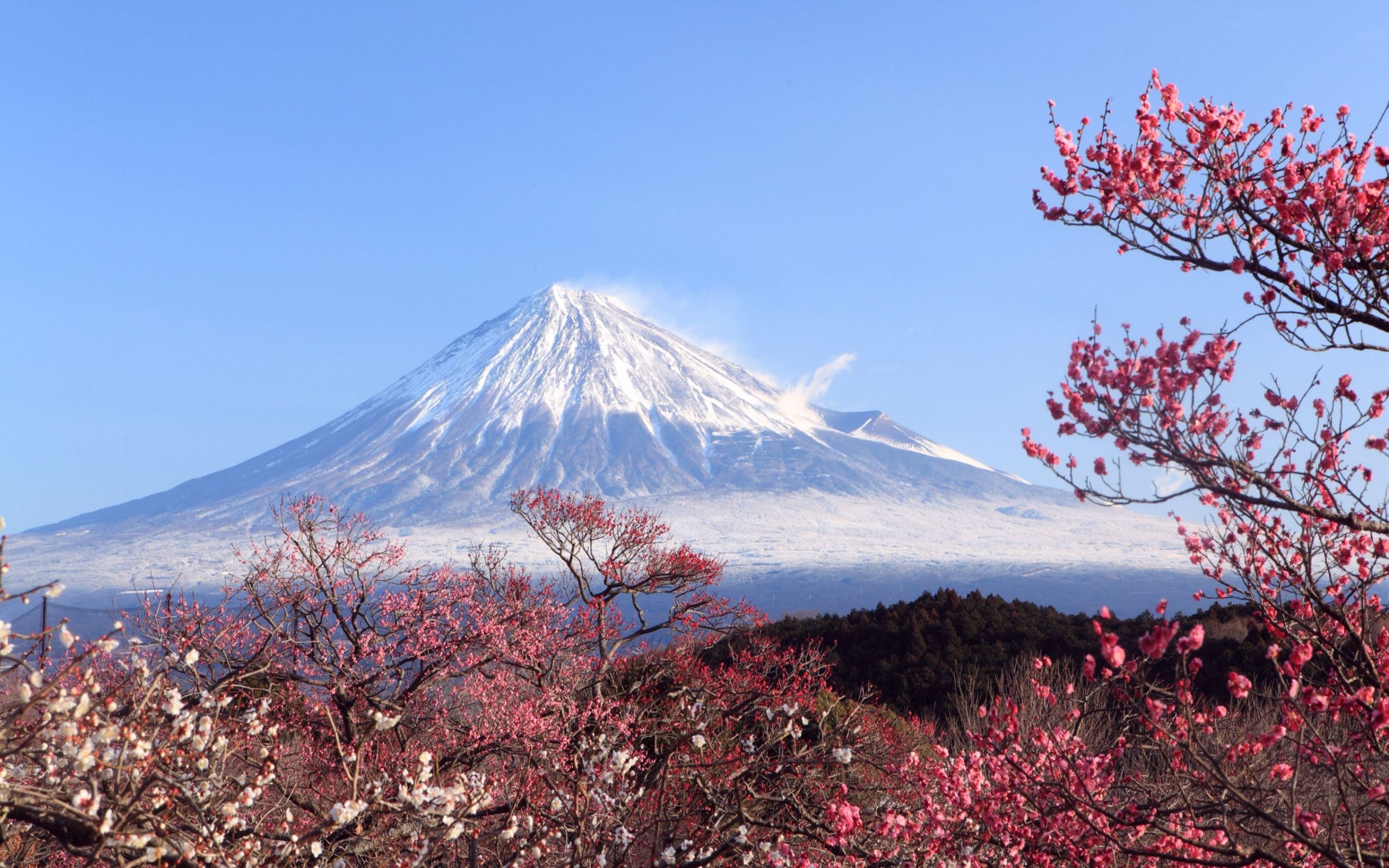 Mount Fuji Beautiful Shot Wallpapers