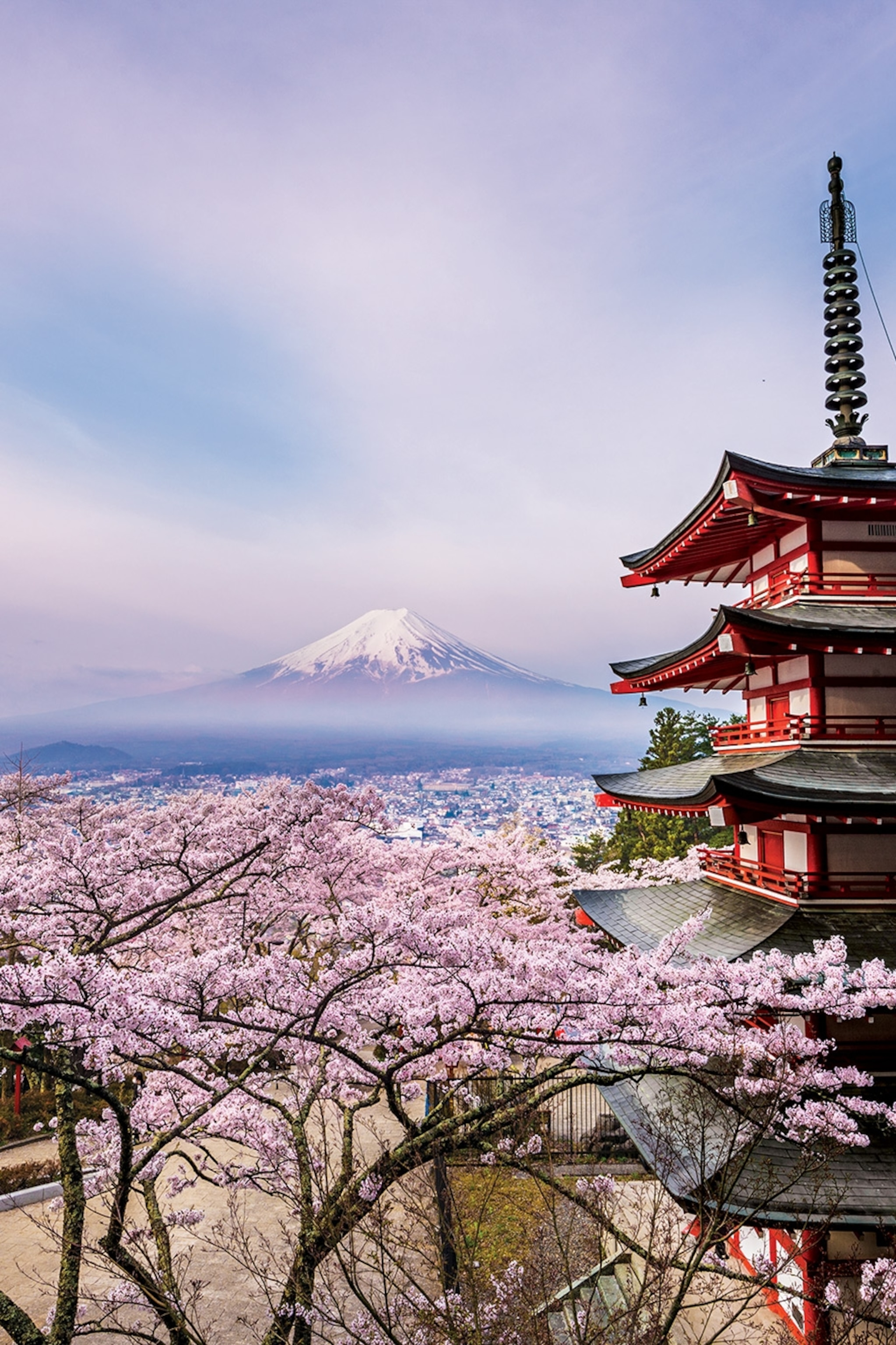 Mount Fuji Beautiful Shot Wallpapers