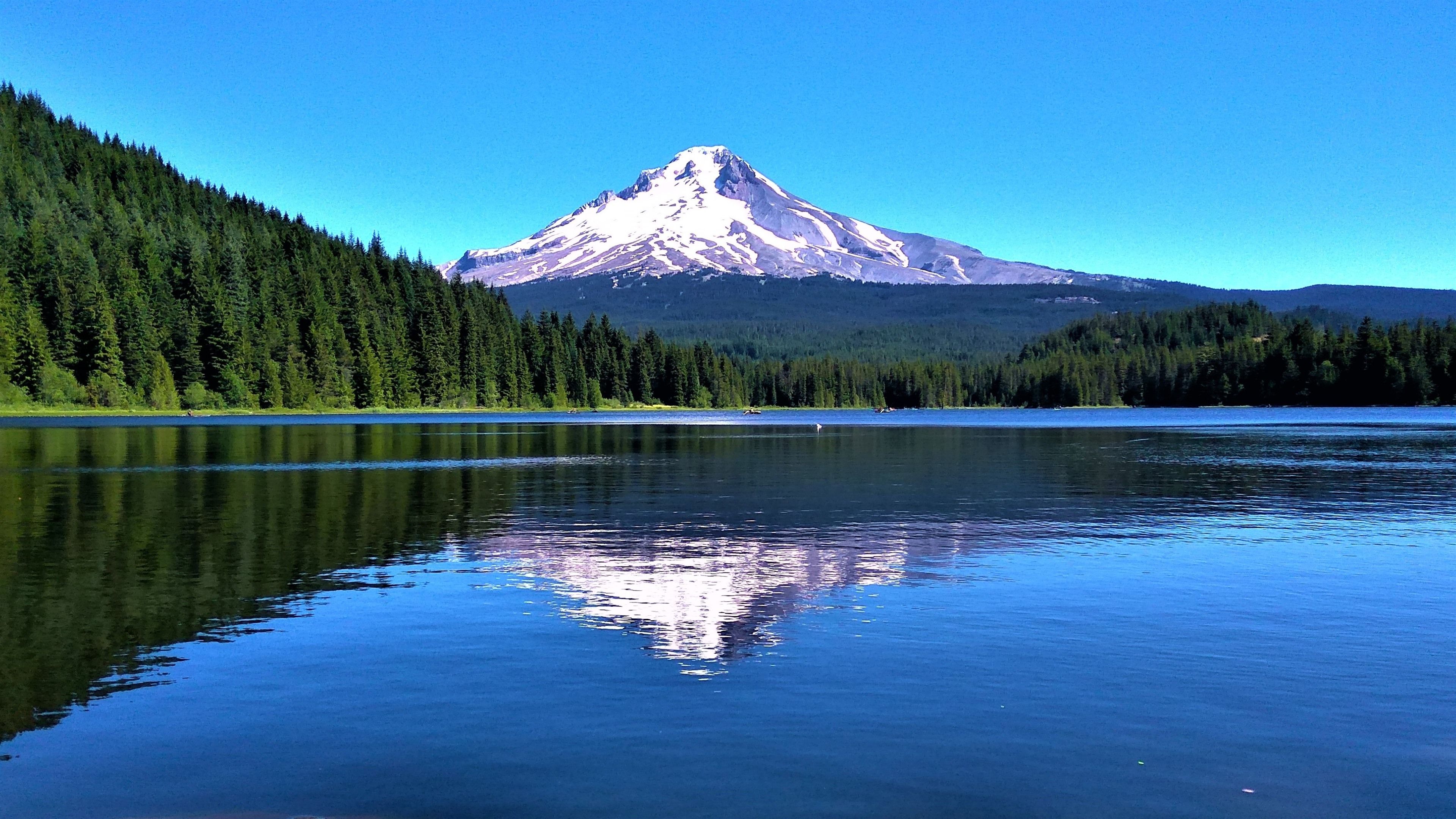 Mount Hood Above The Clouds At Night Wallpapers