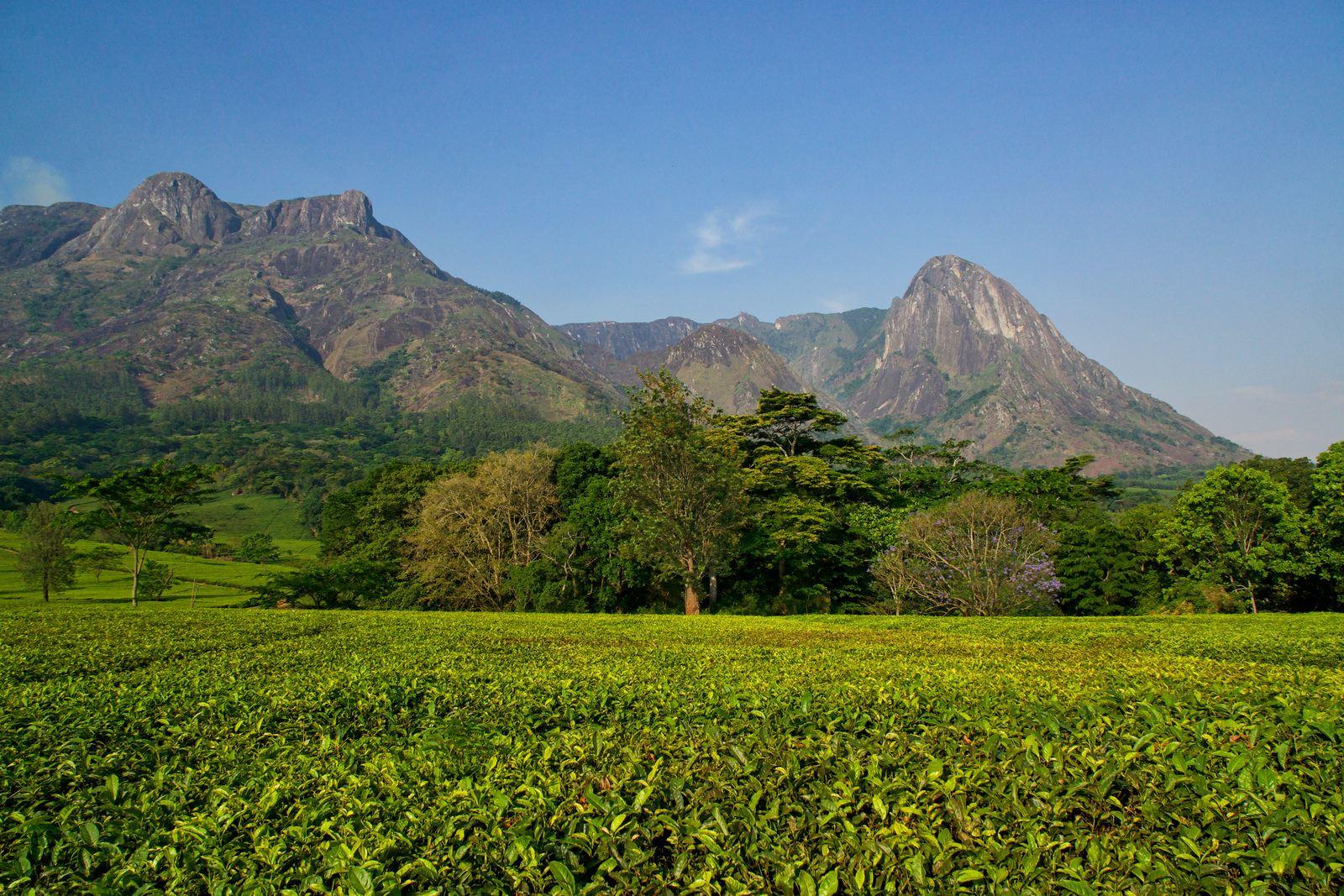 Mount Mulanje Wallpapers