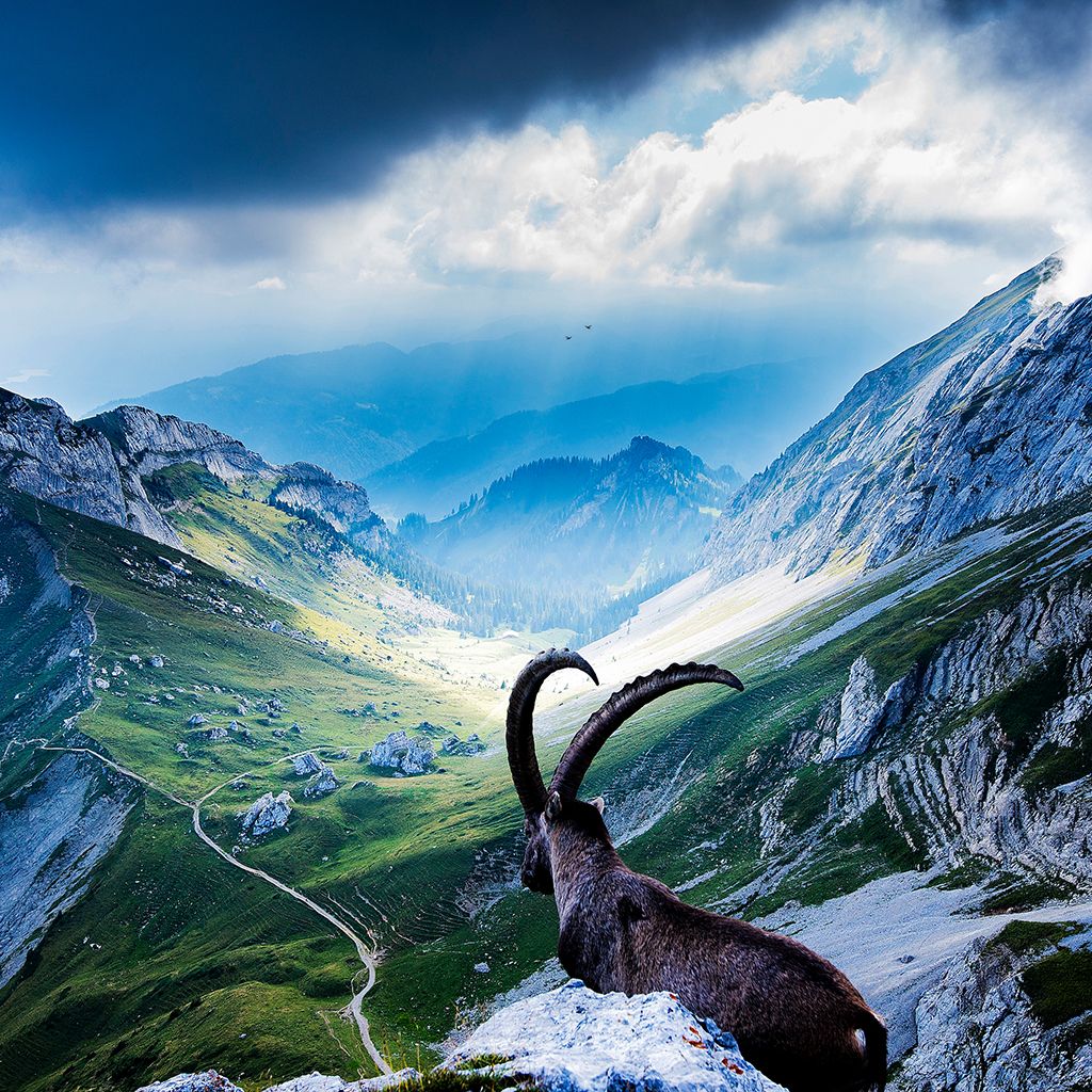 Mount Pilatus Wallpapers