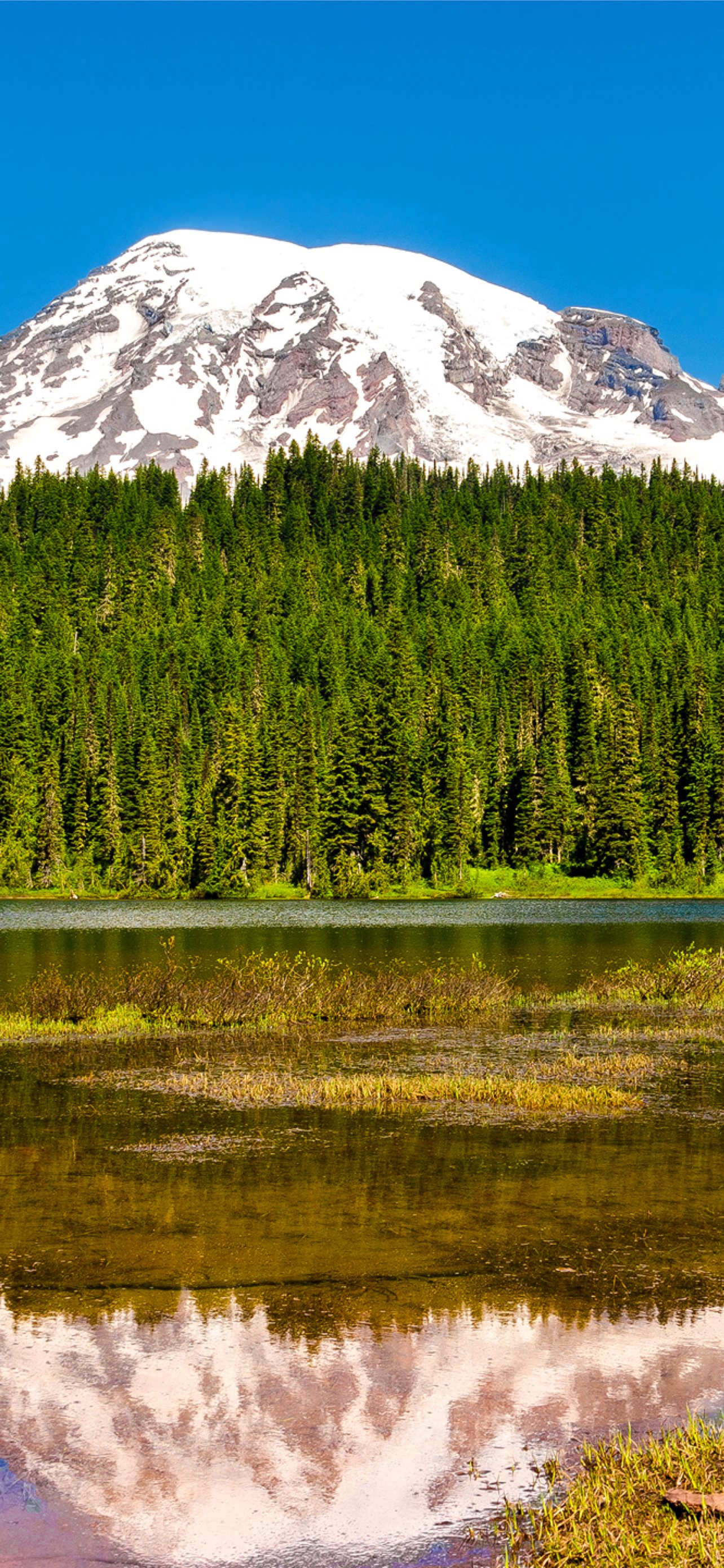 Mount Rainier National Park Wallpapers