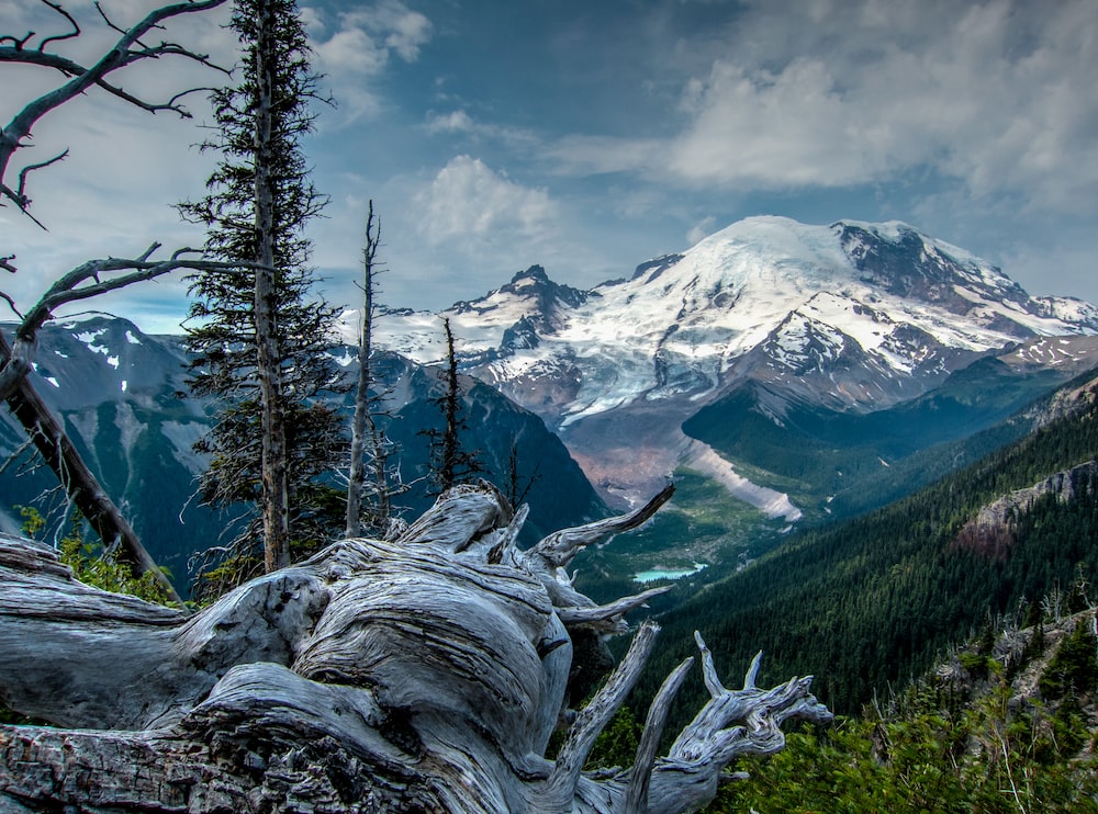 Mount Rainier National Park Wallpapers
