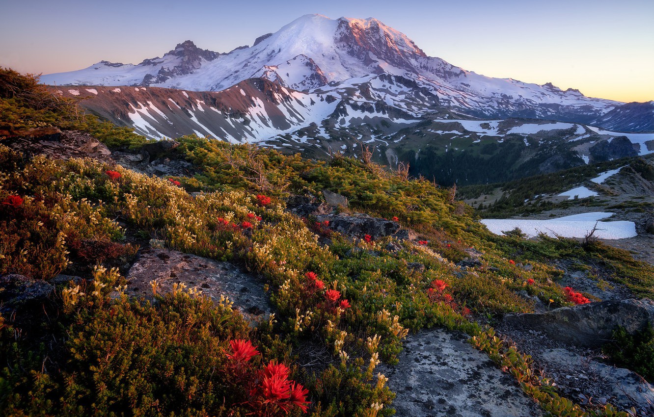 Mount Rainier National Park Wallpapers