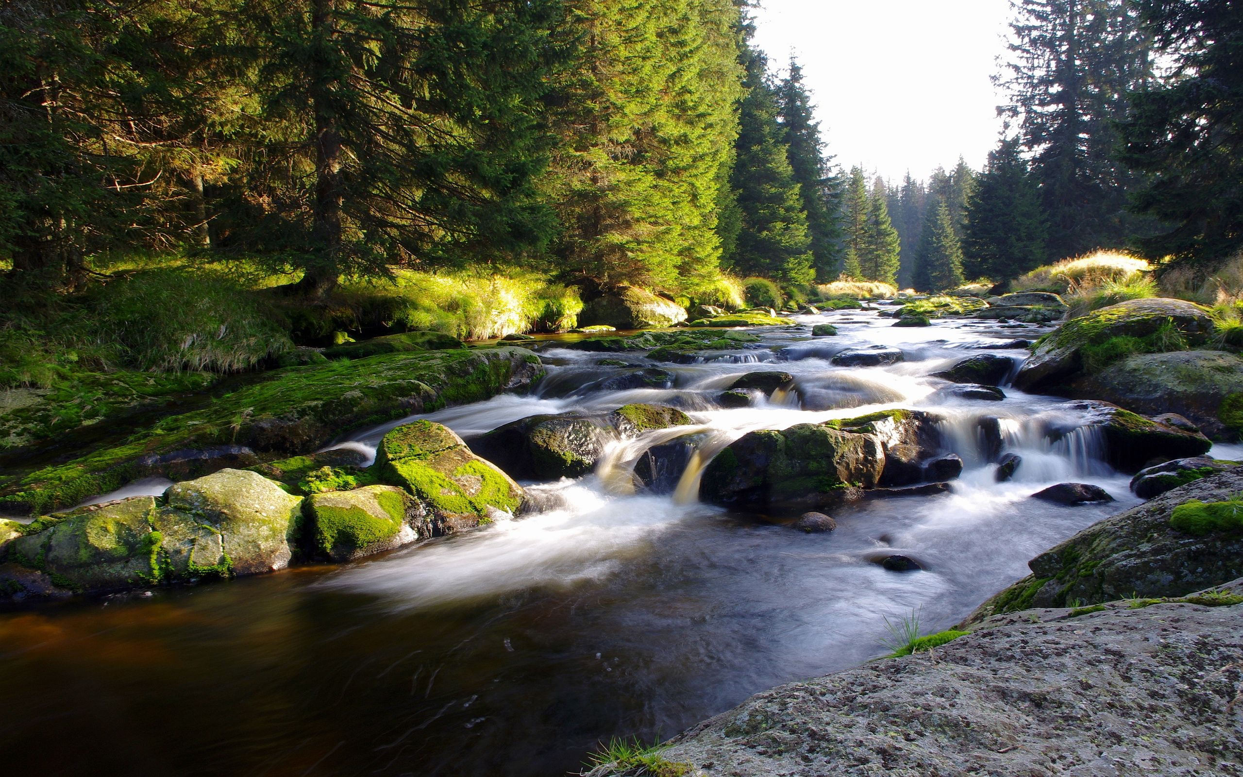 Mountain Streams Wallpapers