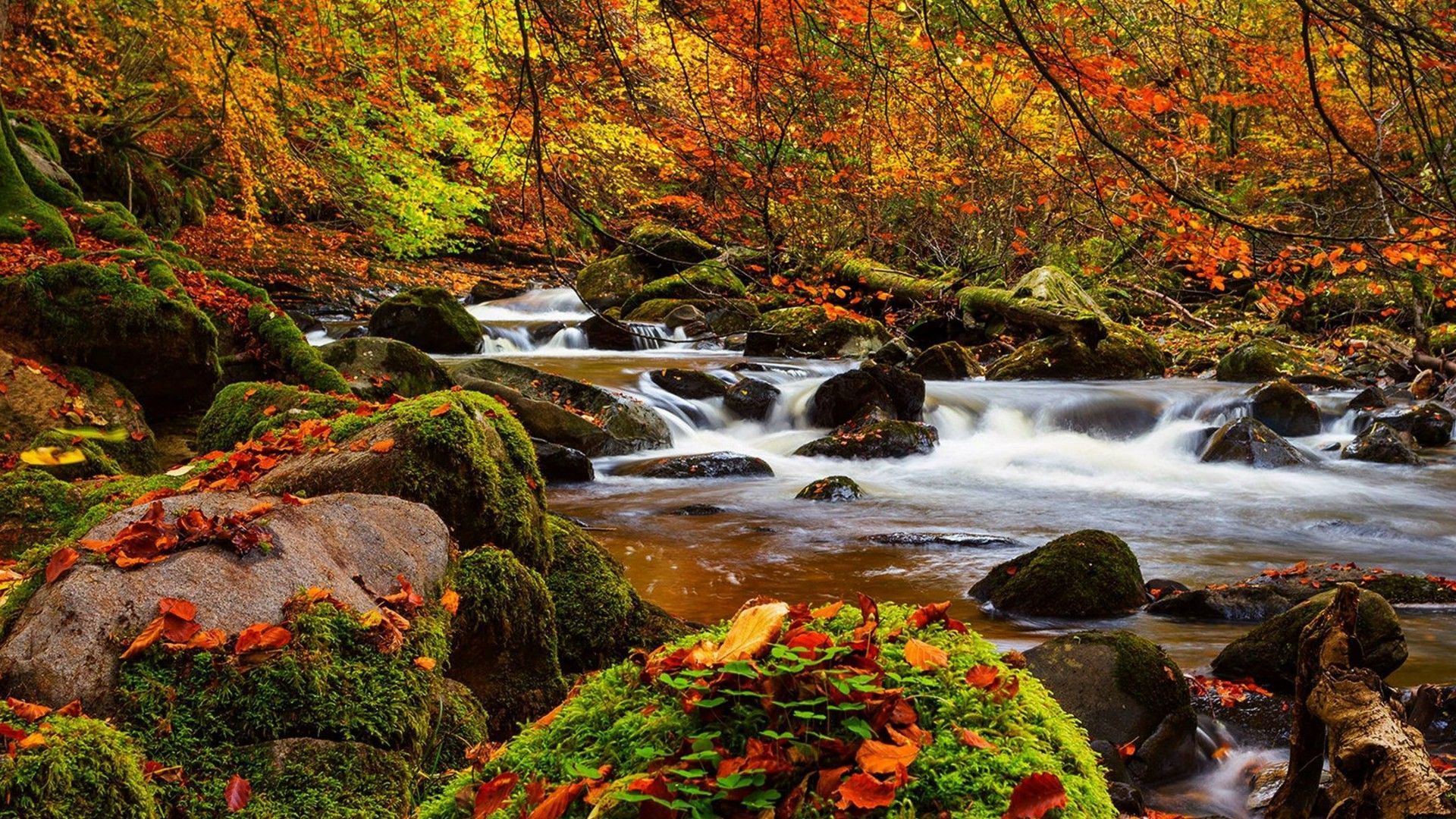 Mountain Streams Wallpapers