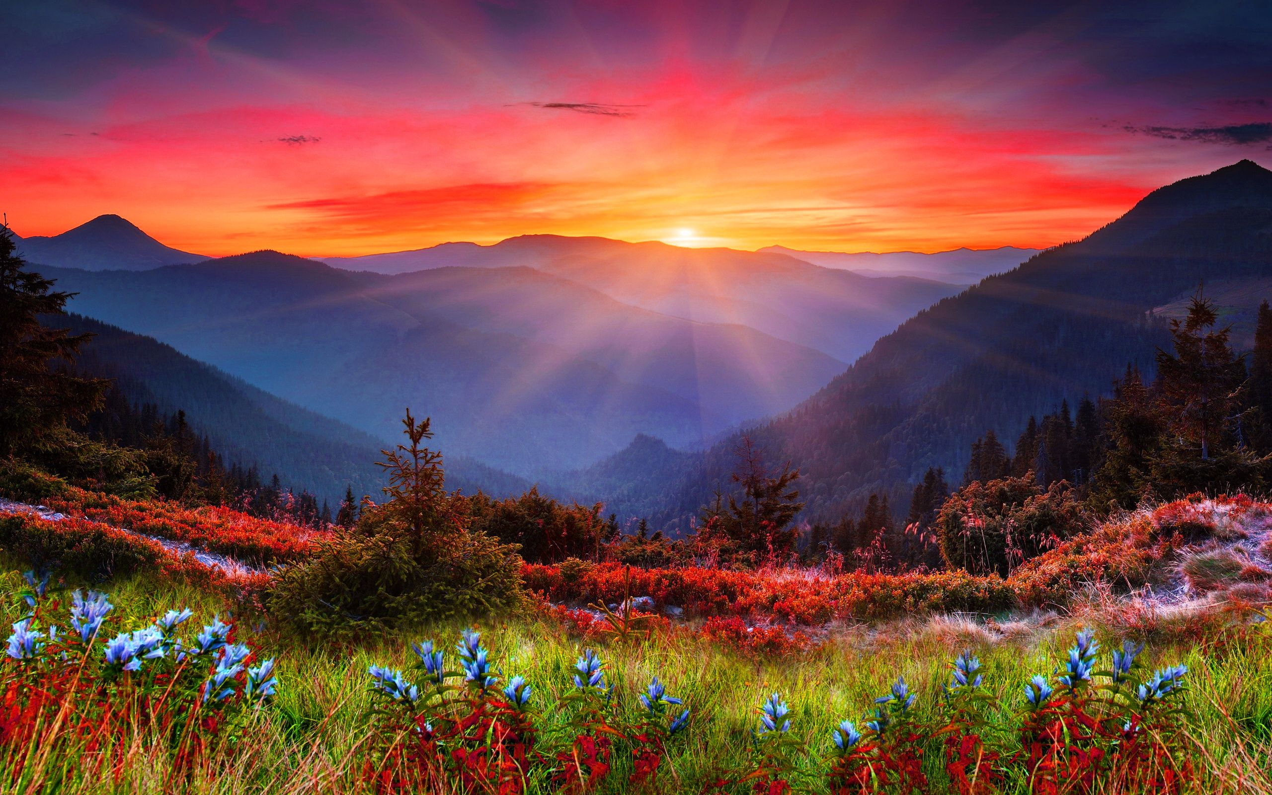 Mountain Sunset Hd 2021 Wallpapers