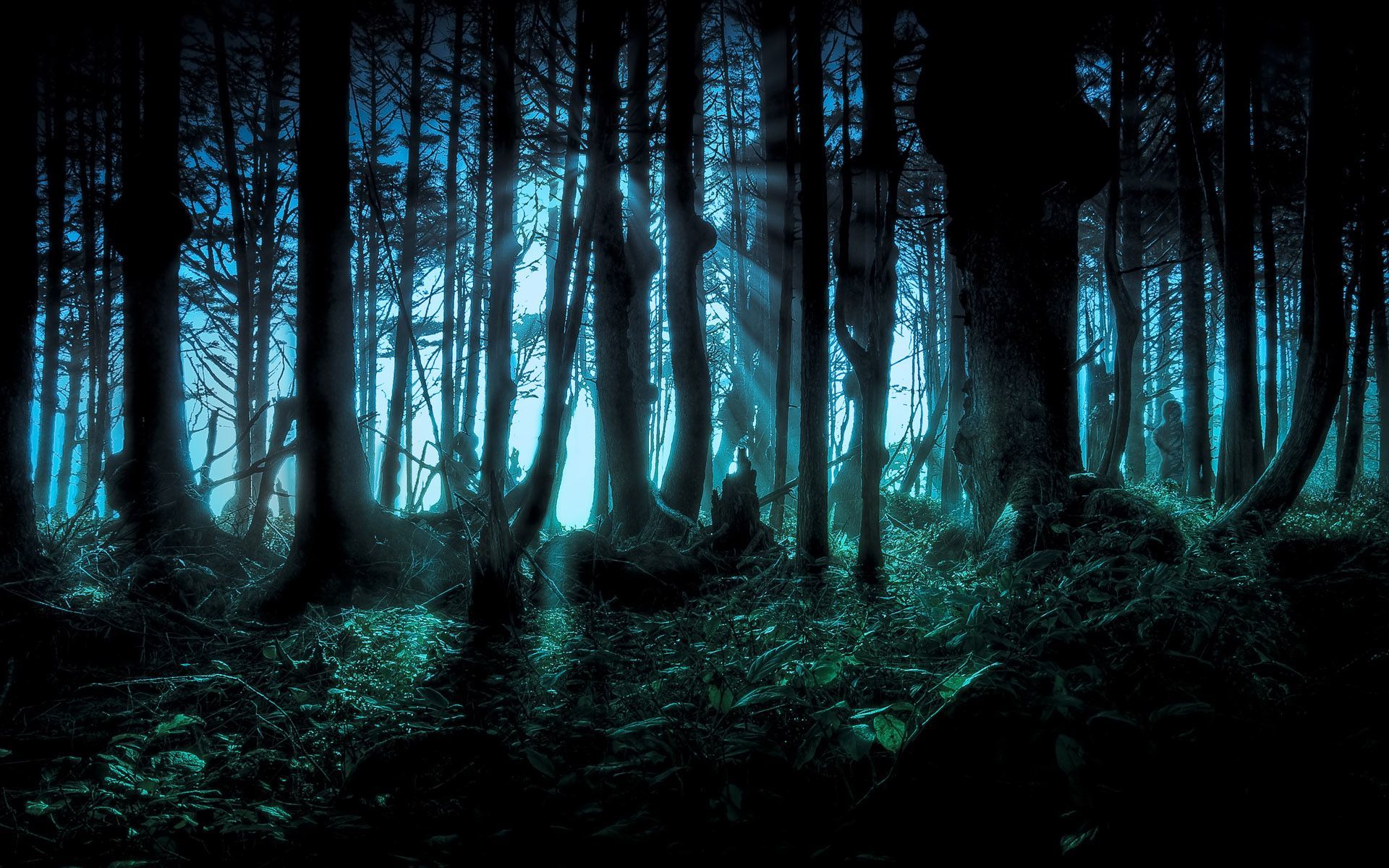 Mysterious Forest Art Wallpapers