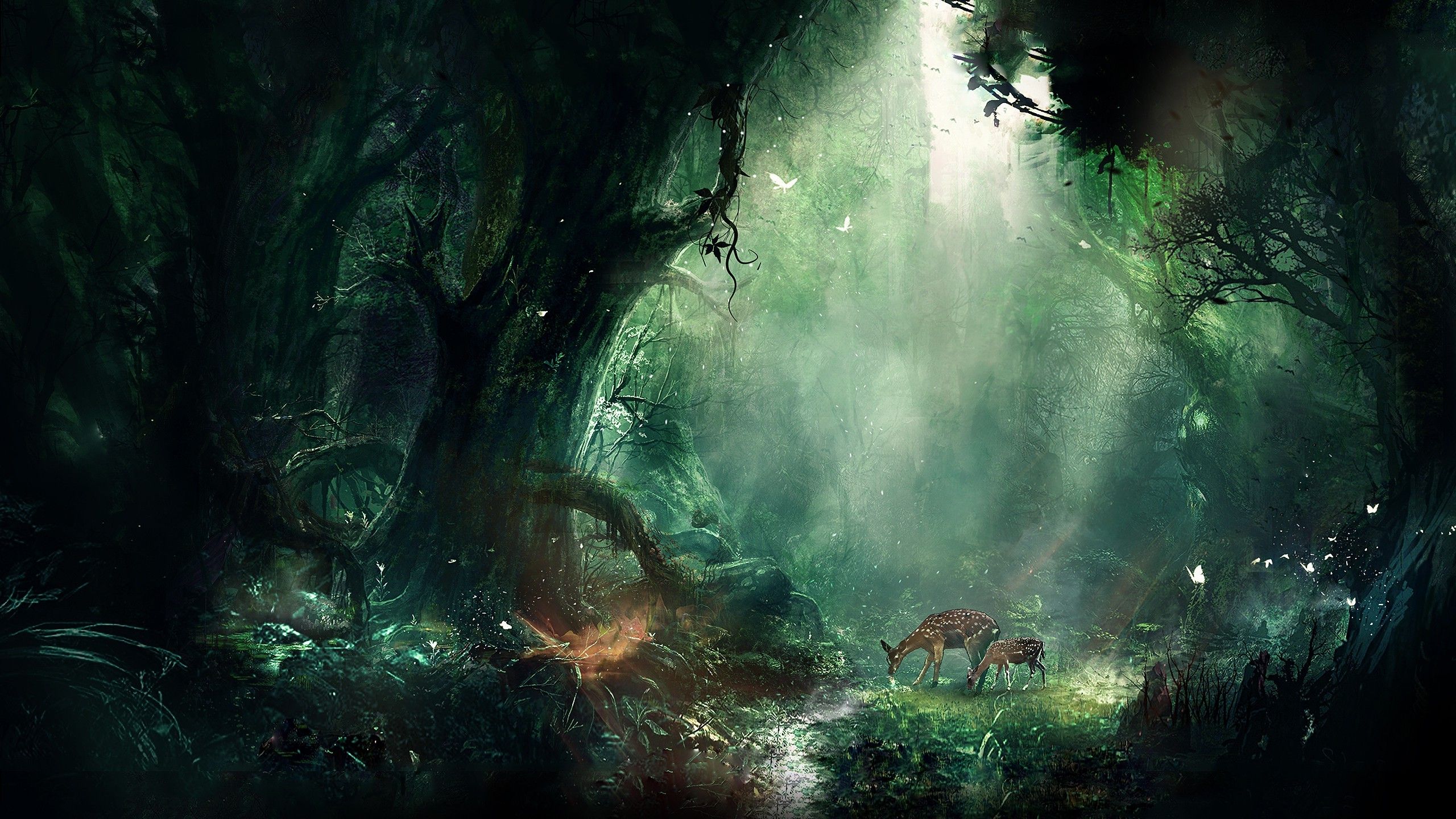 Mysterious Forest Art Wallpapers