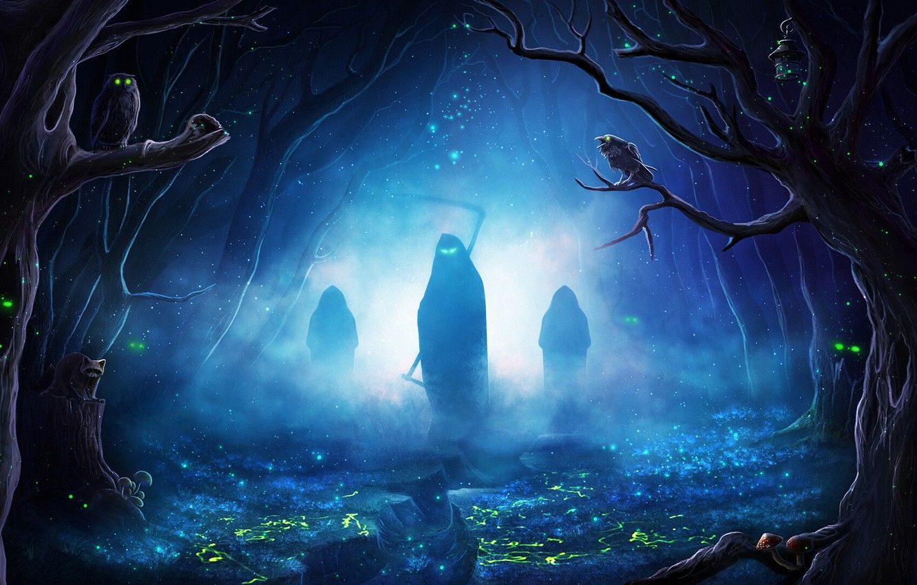 Mysterious Forest Art Wallpapers