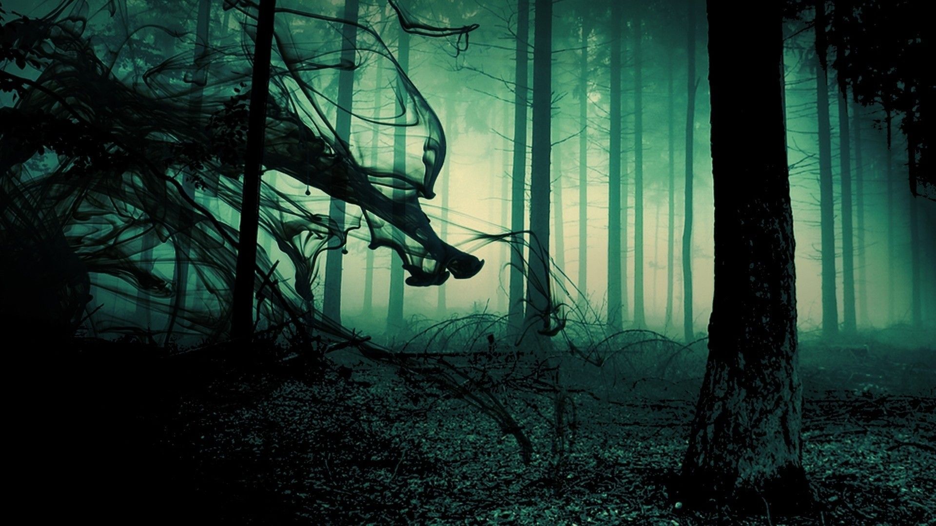 Mysterious Forest Art Wallpapers