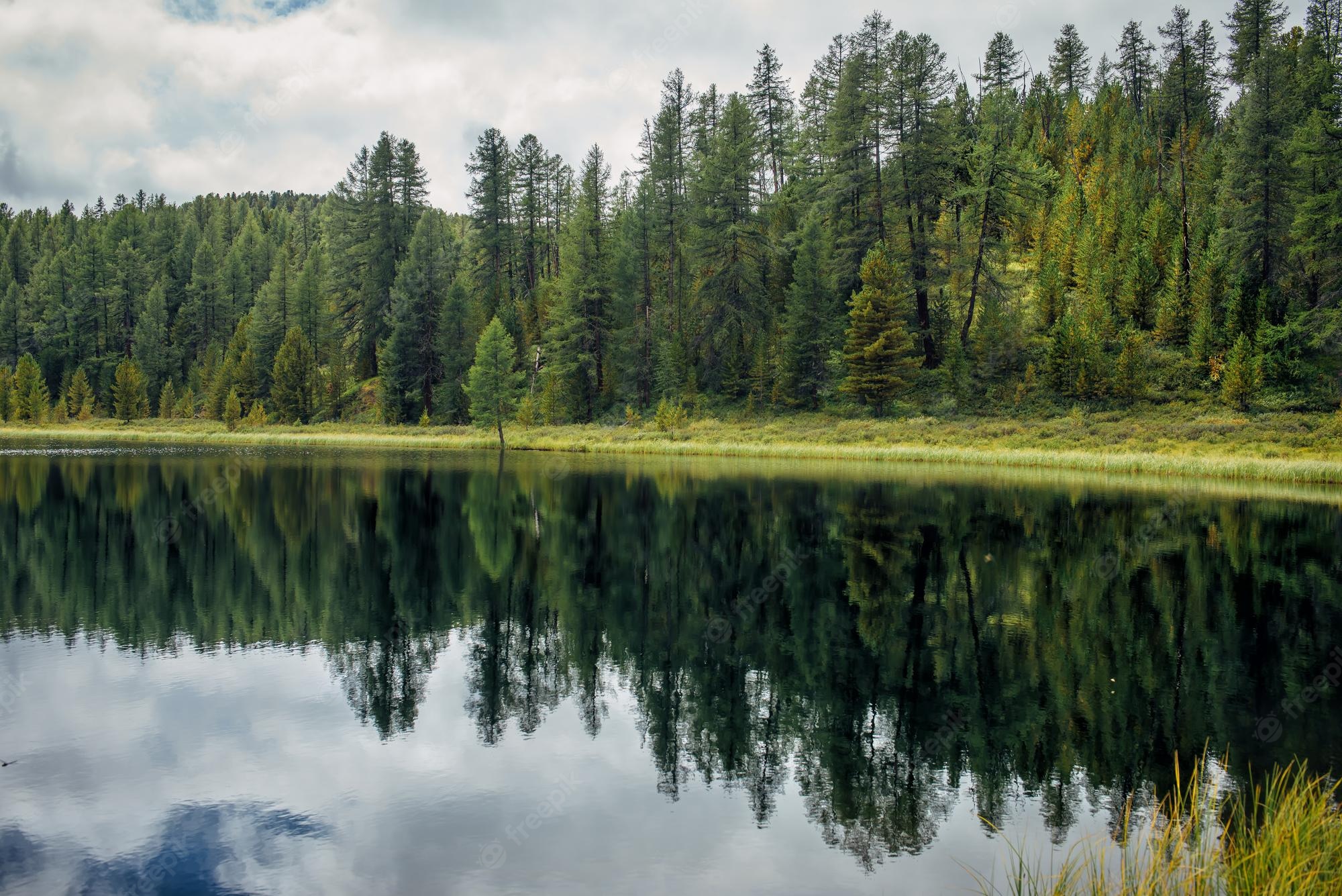 Nature Lake Reflection On River Wallpapers