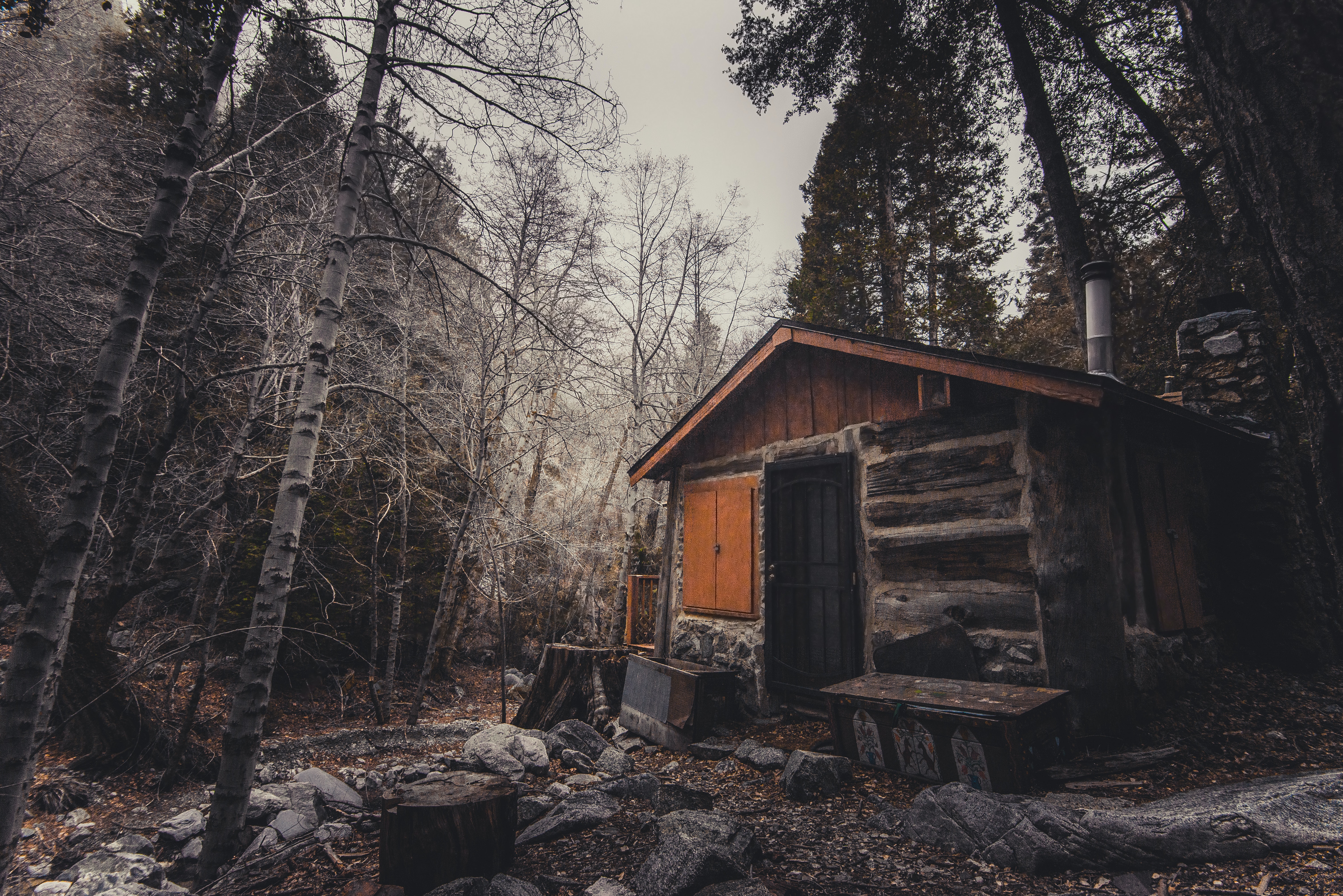 Old House In Forest Wallpapers