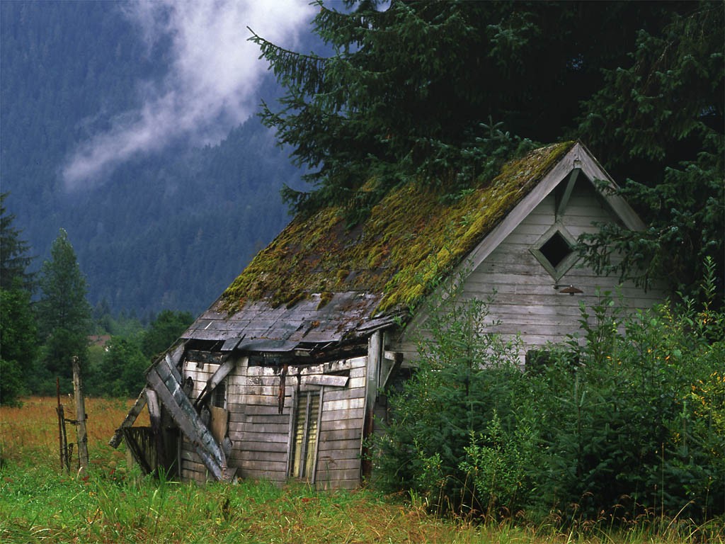 Old House In Forest Wallpapers