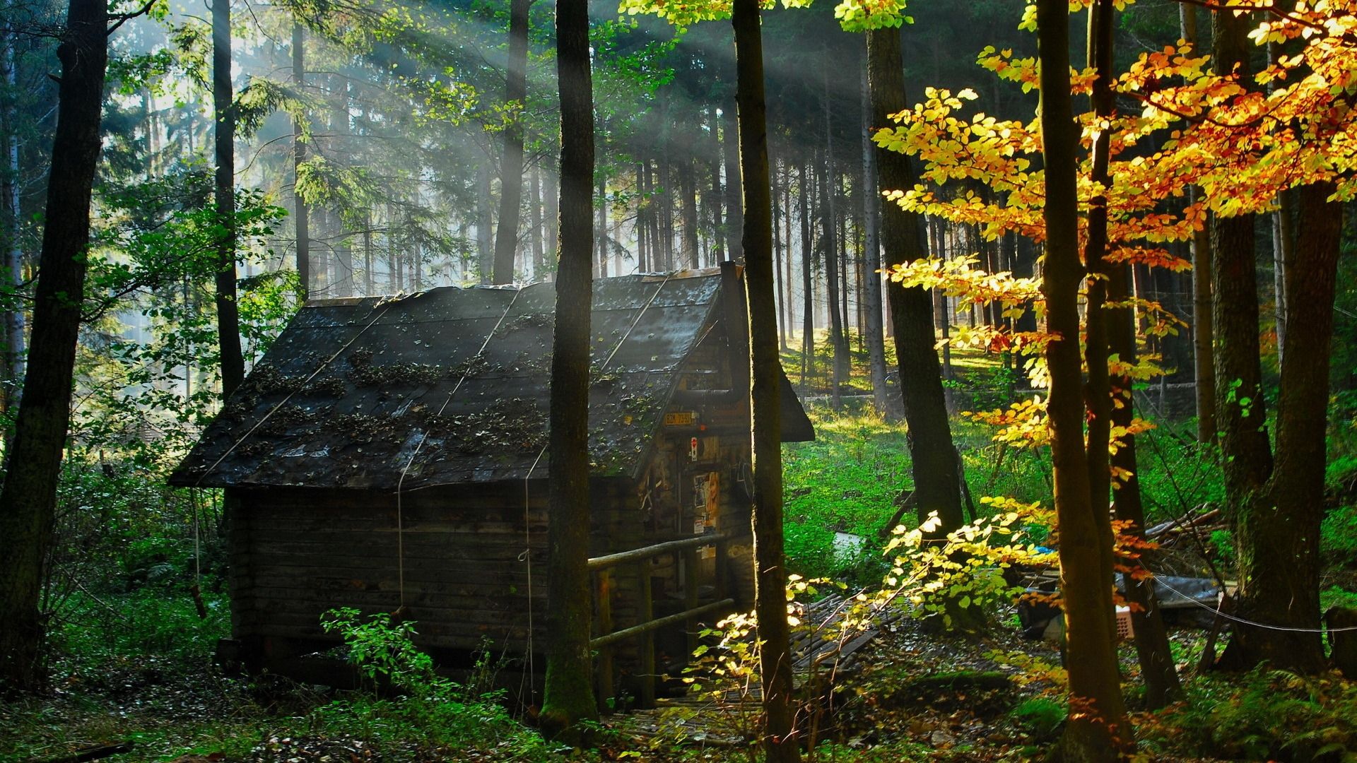 Old House In Forest Wallpapers