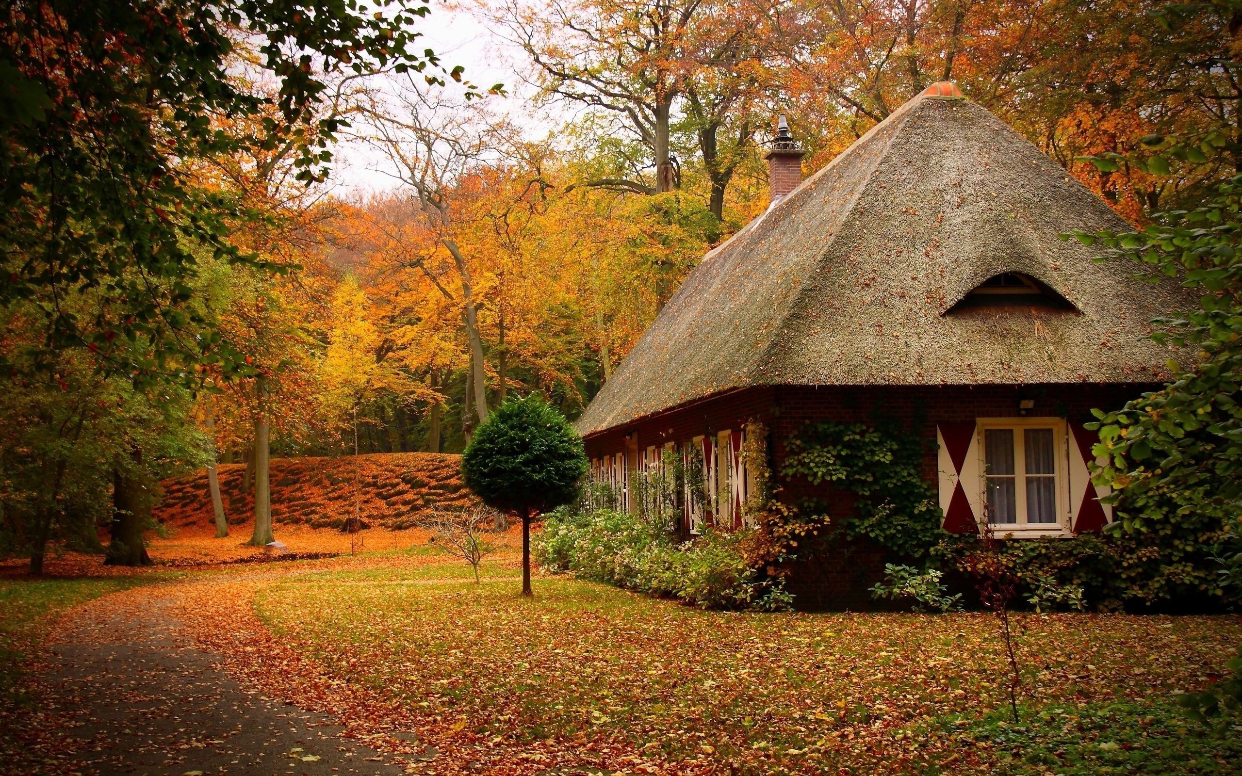 Old House In Forest Wallpapers