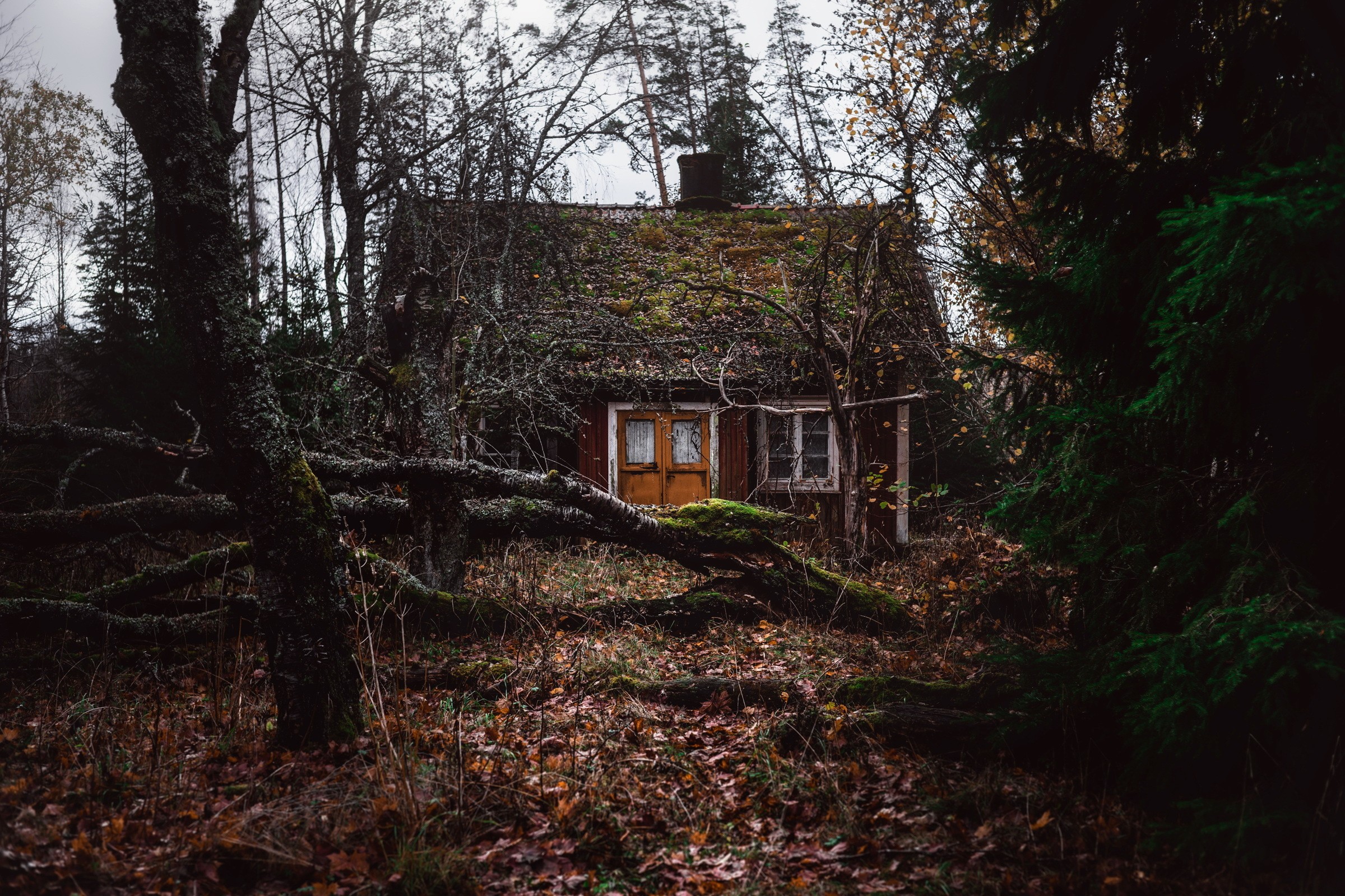 Old House In Forest Wallpapers