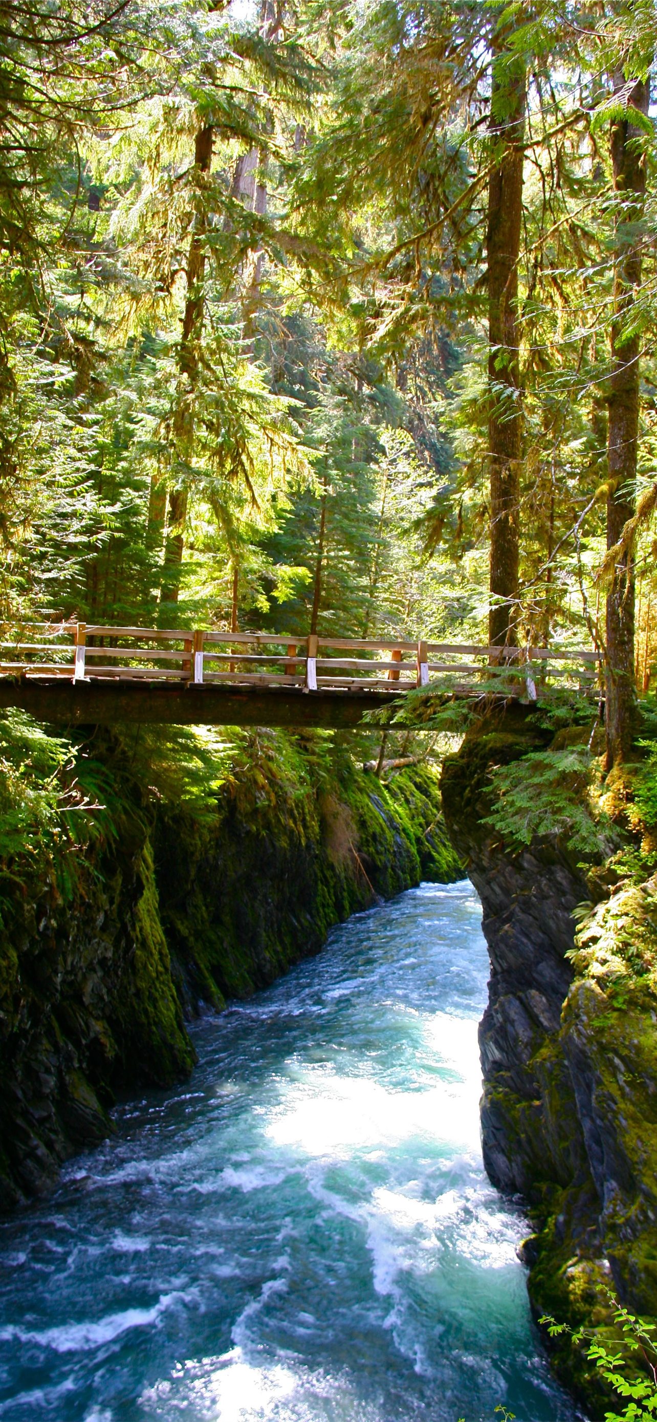 Olympic National Park Wallpapers