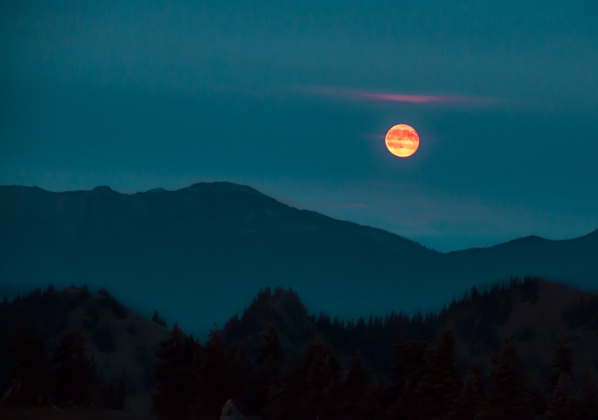 Olympic National Park Wallpapers