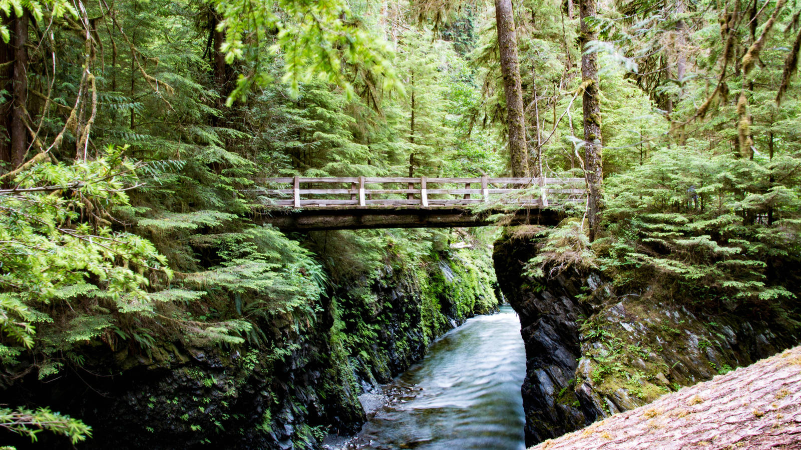 Olympic National Park Wallpapers