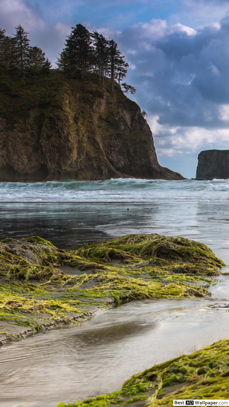 Olympic National Park Wallpapers