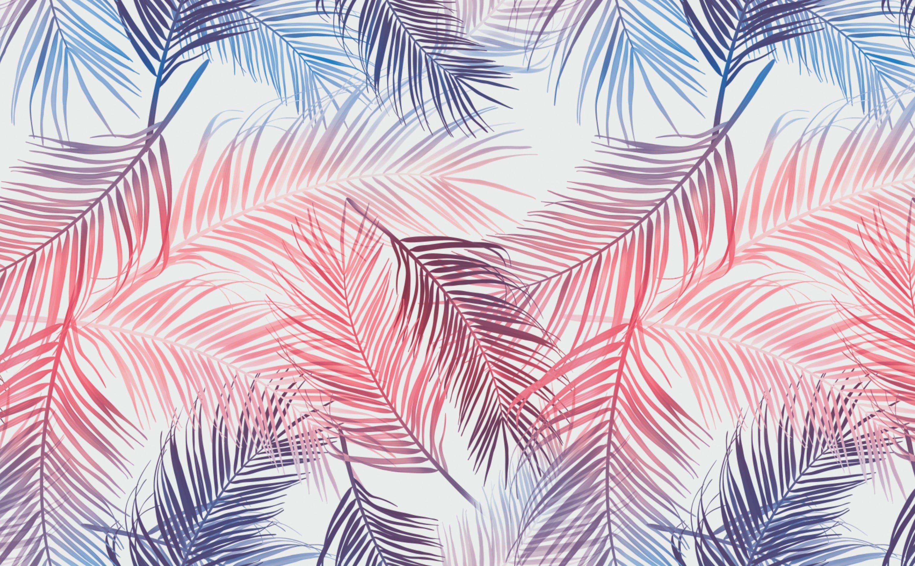 Palm Leaf Wallpapers