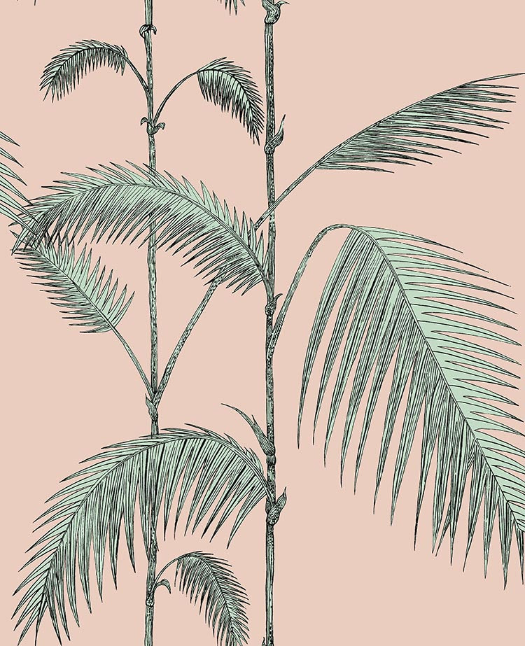 Palm Leaf Wallpapers